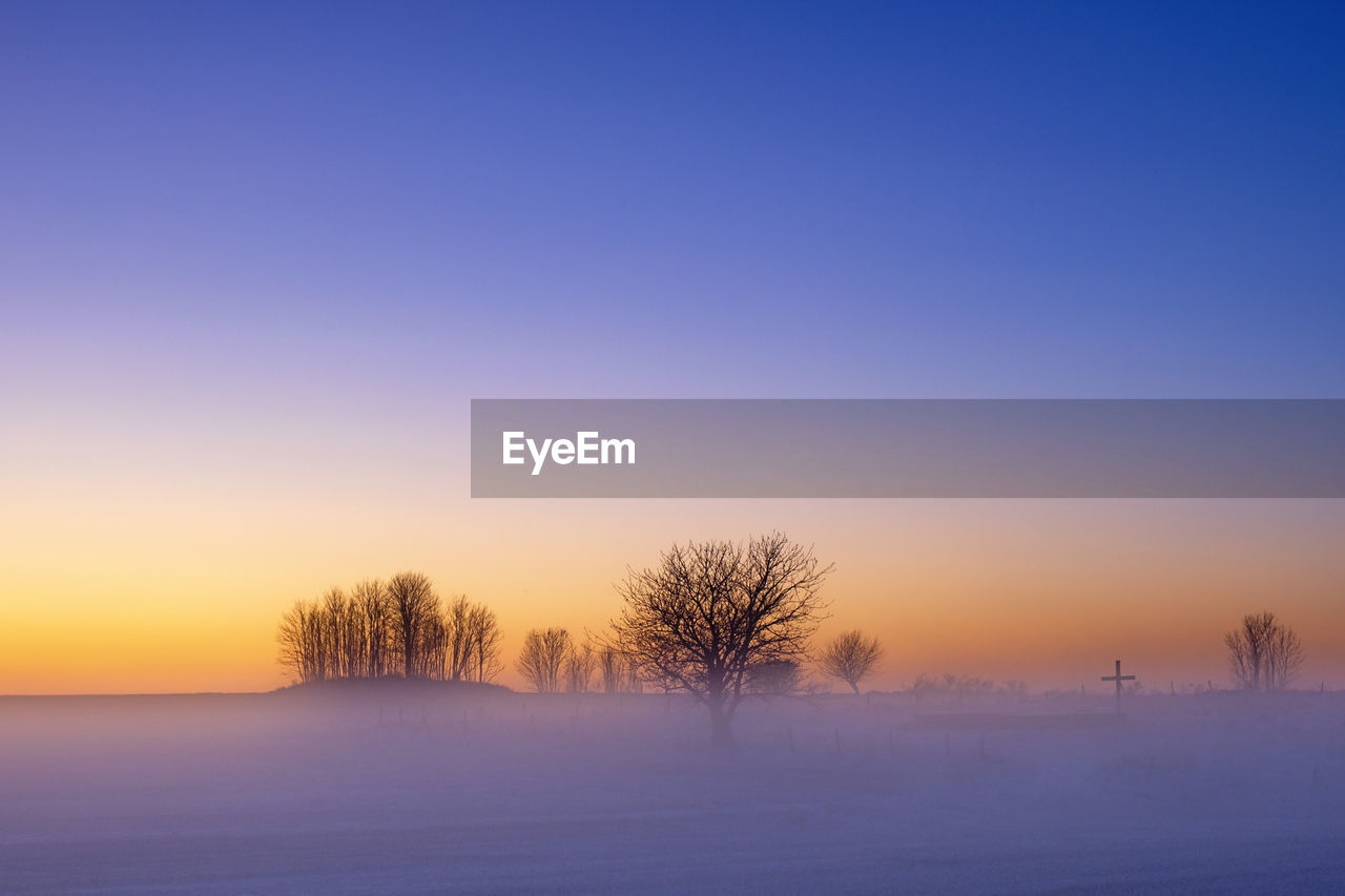 Bare trees on snow field against sky during sunset