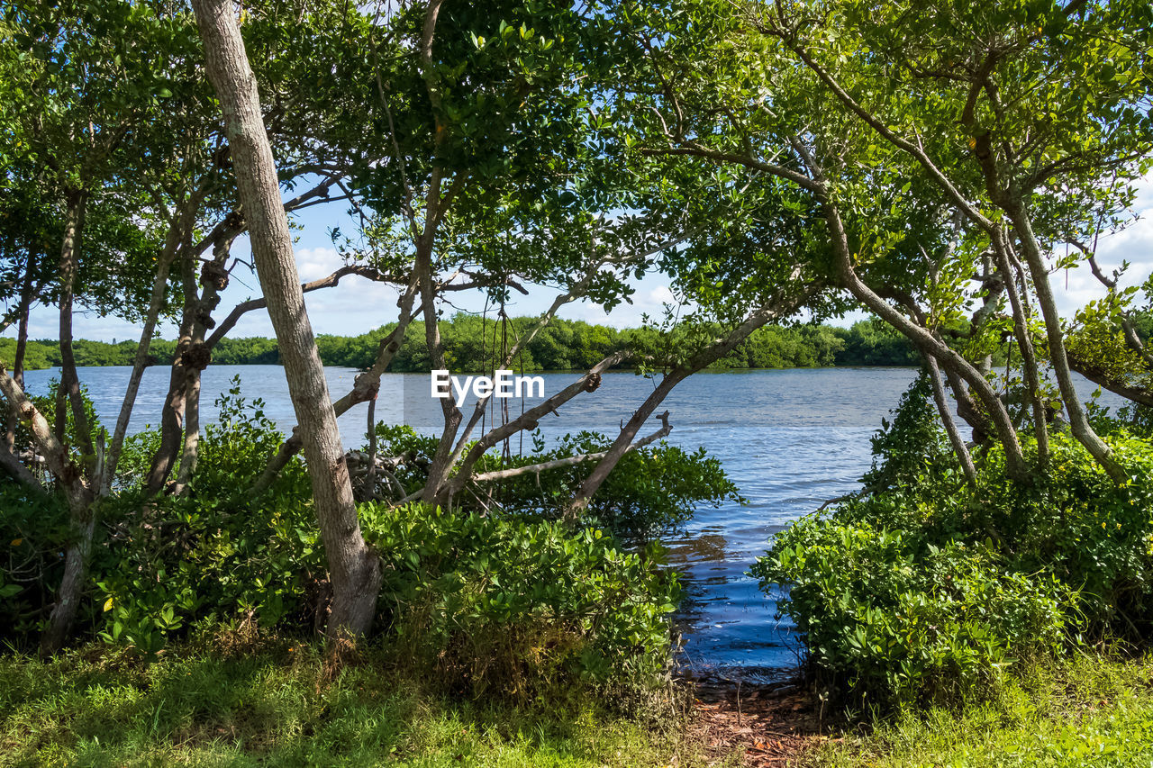 SCENIC VIEW OF RIVER AGAINST SKY