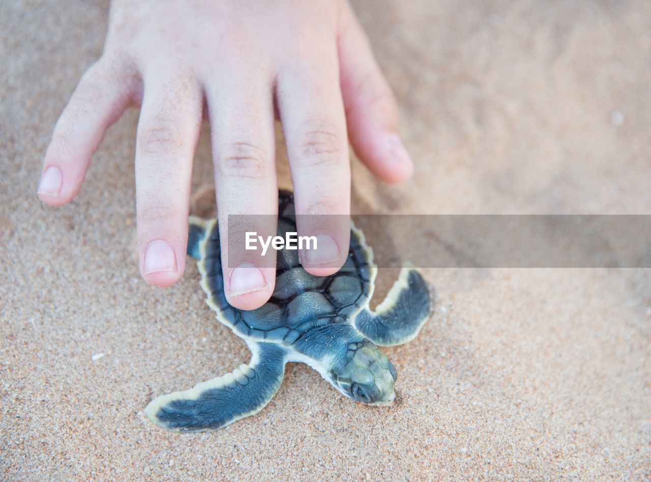 CLOSE-UP OF HUMAN HANDS