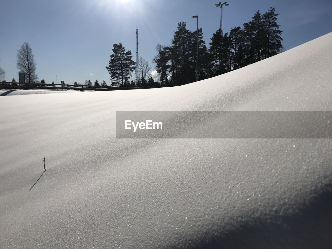 Trees on snow covered land against sky