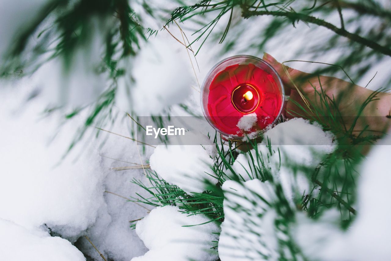 Cropped hand of woman holding lit tea light candle amidst snow covered branches