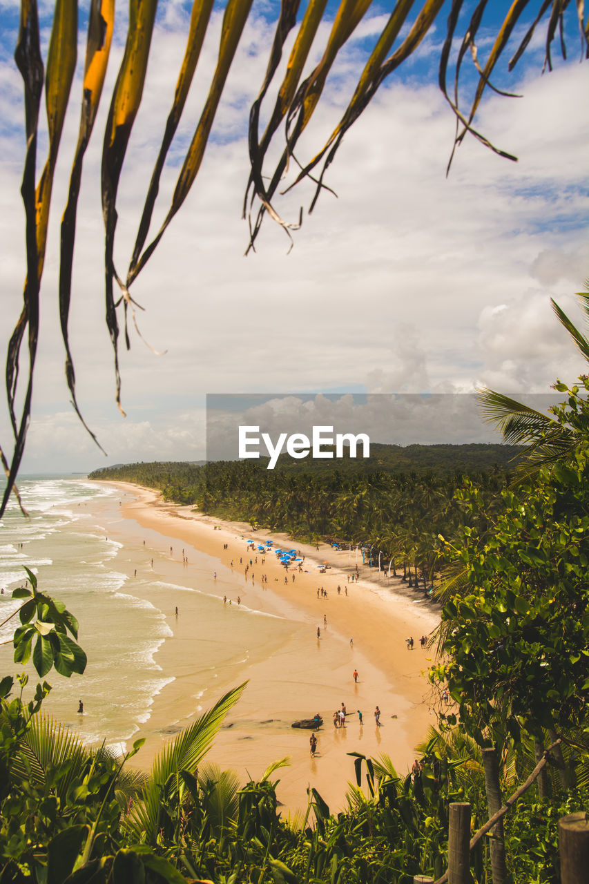 High angle view of people at beach 