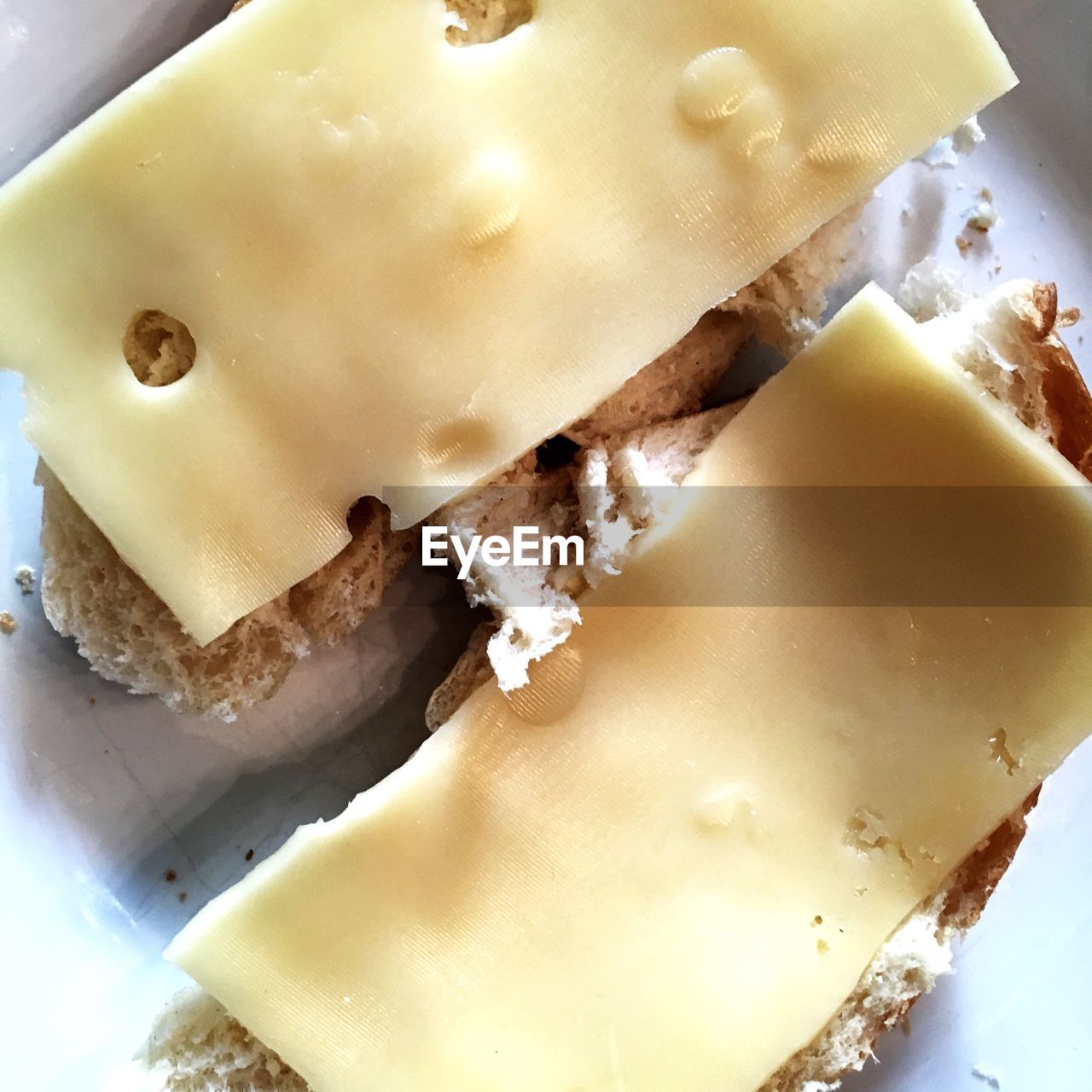 High angle view of cheese with bread in plate