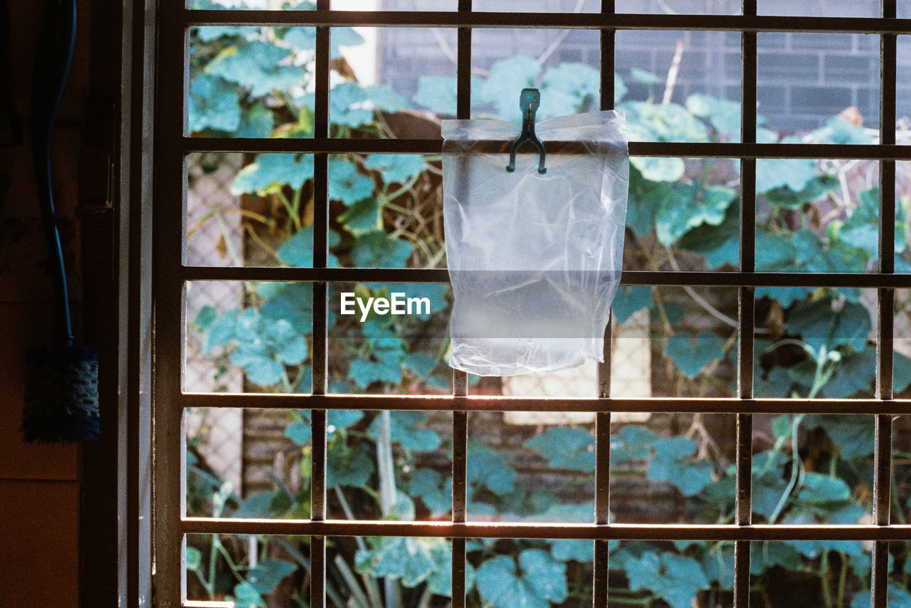 glass, window, no people, transparent, blue, day, indoors, architecture, interior design, nature, built structure, art, pattern, building, reflection