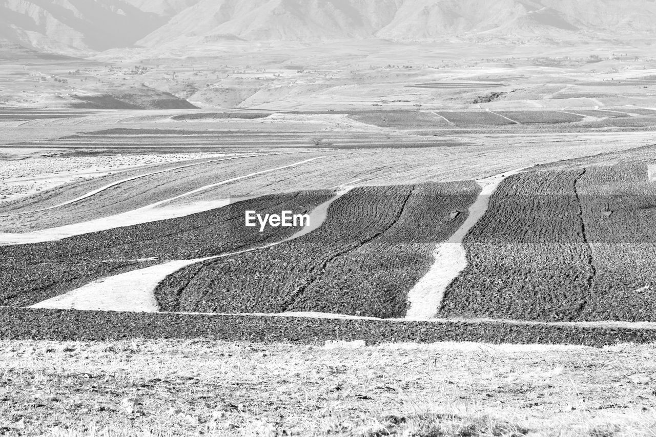 SCENIC VIEW OF ROAD PASSING THROUGH DESERT