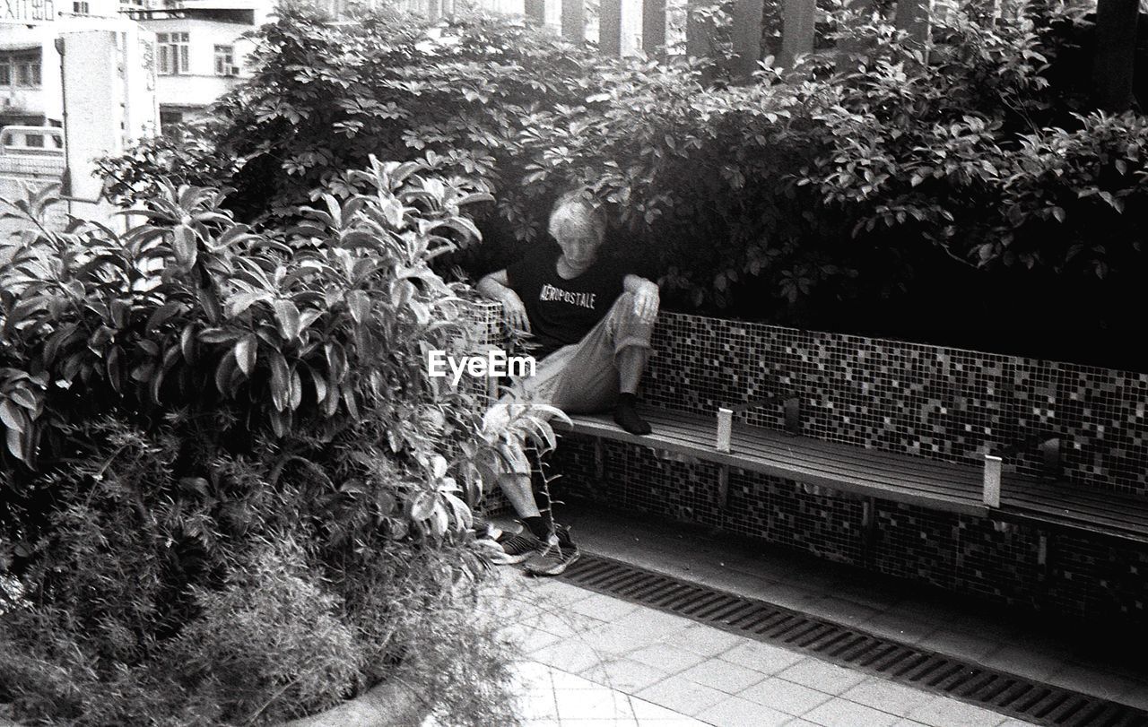 REAR VIEW OF WOMAN RELAXING ON FOOTPATH IN PARK