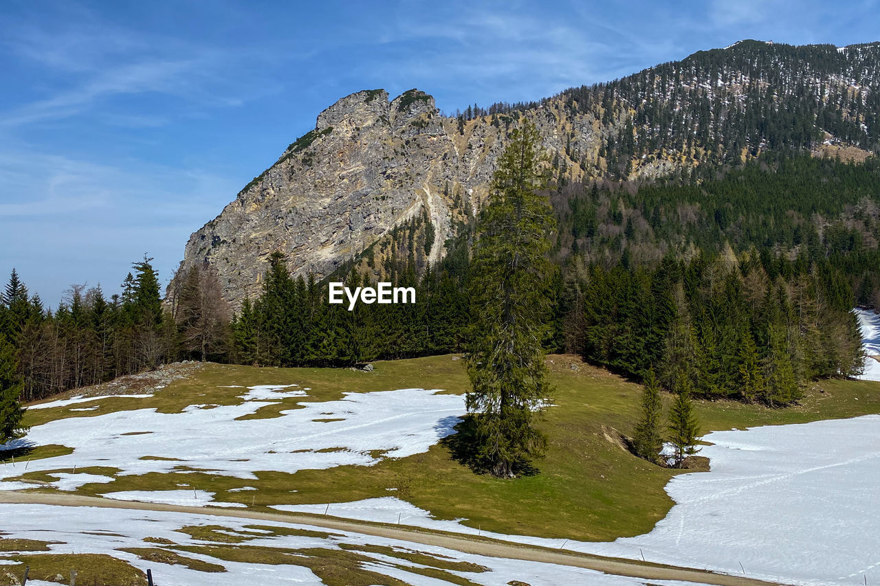 Mountain hochfelln seen from eschlmoos, chiemgau, bavarian alps in spring with snow