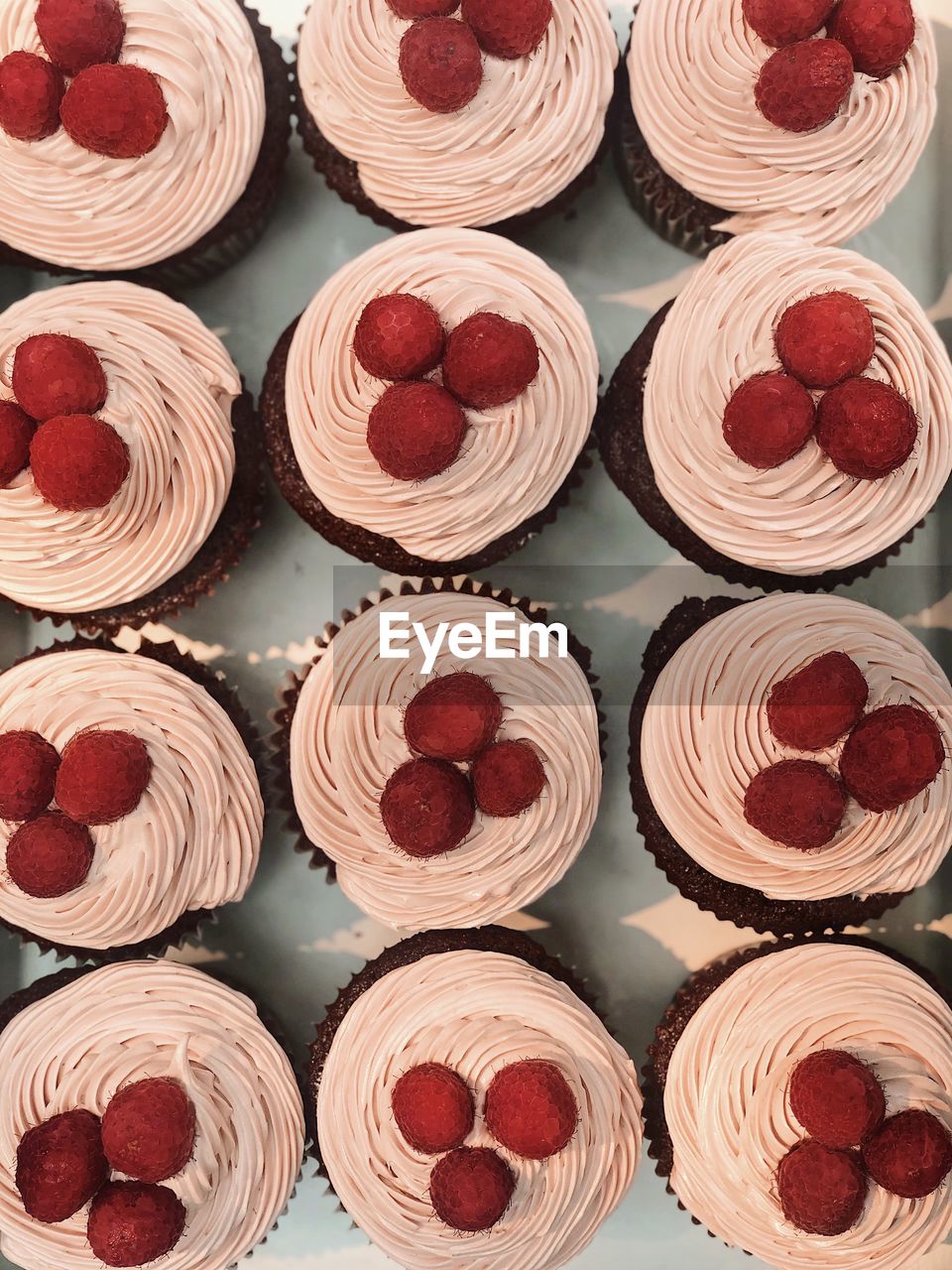 FULL FRAME SHOT OF CUPCAKES ON TRAY