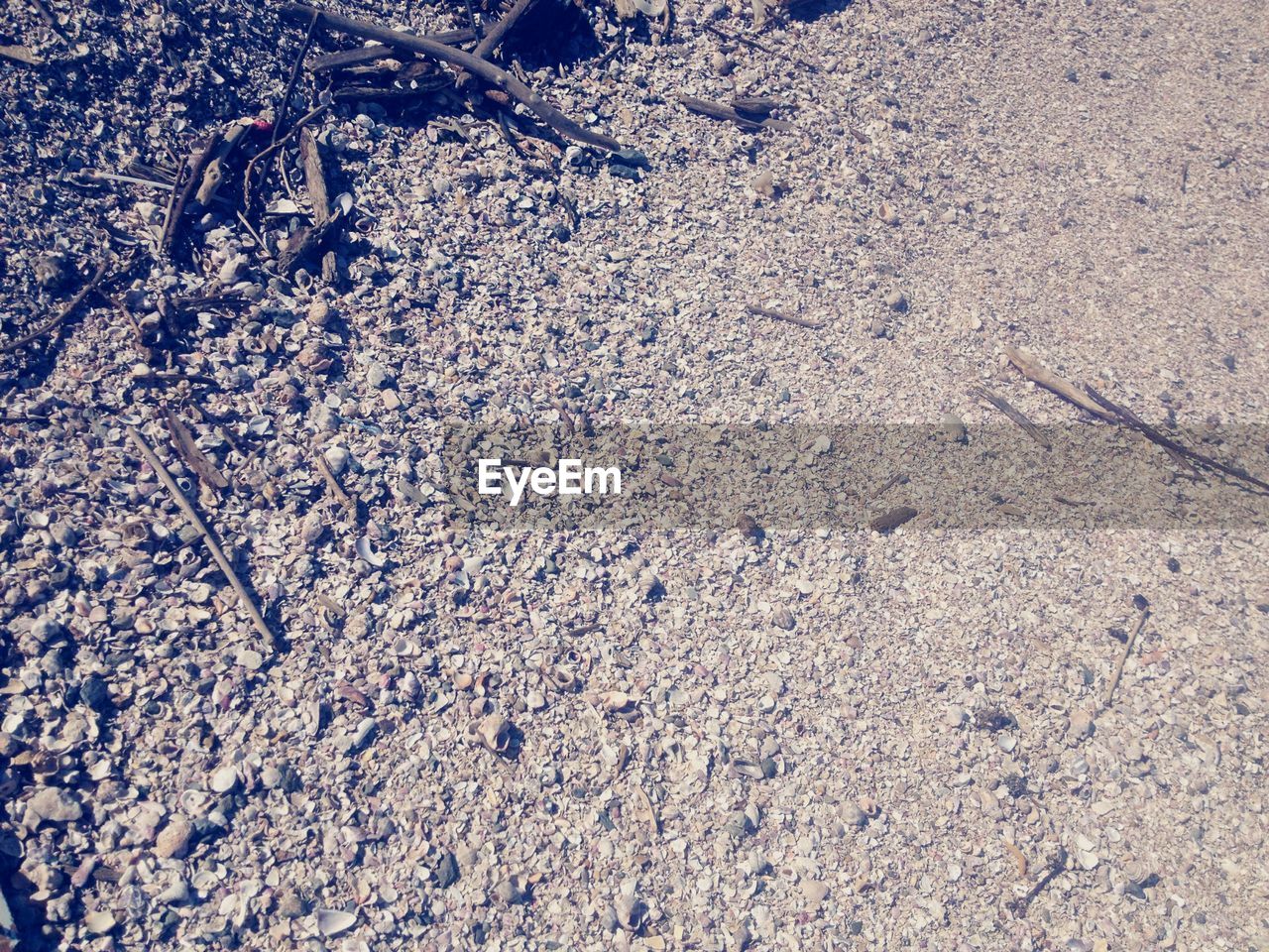 FULL FRAME SHOT OF STARFISH ON BEACH