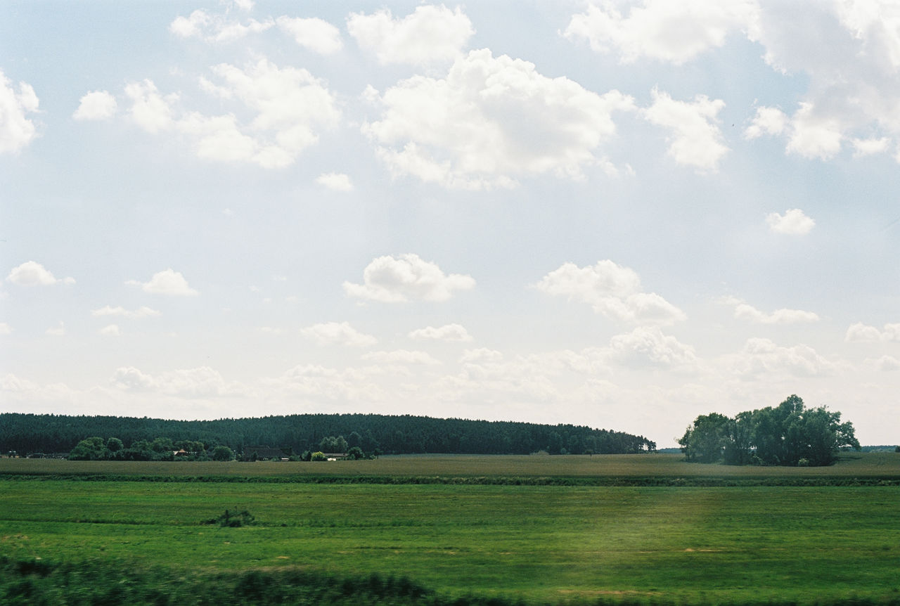 View of field in spring