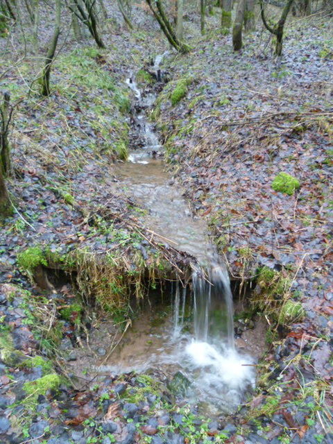 WATERFALL IN FOREST