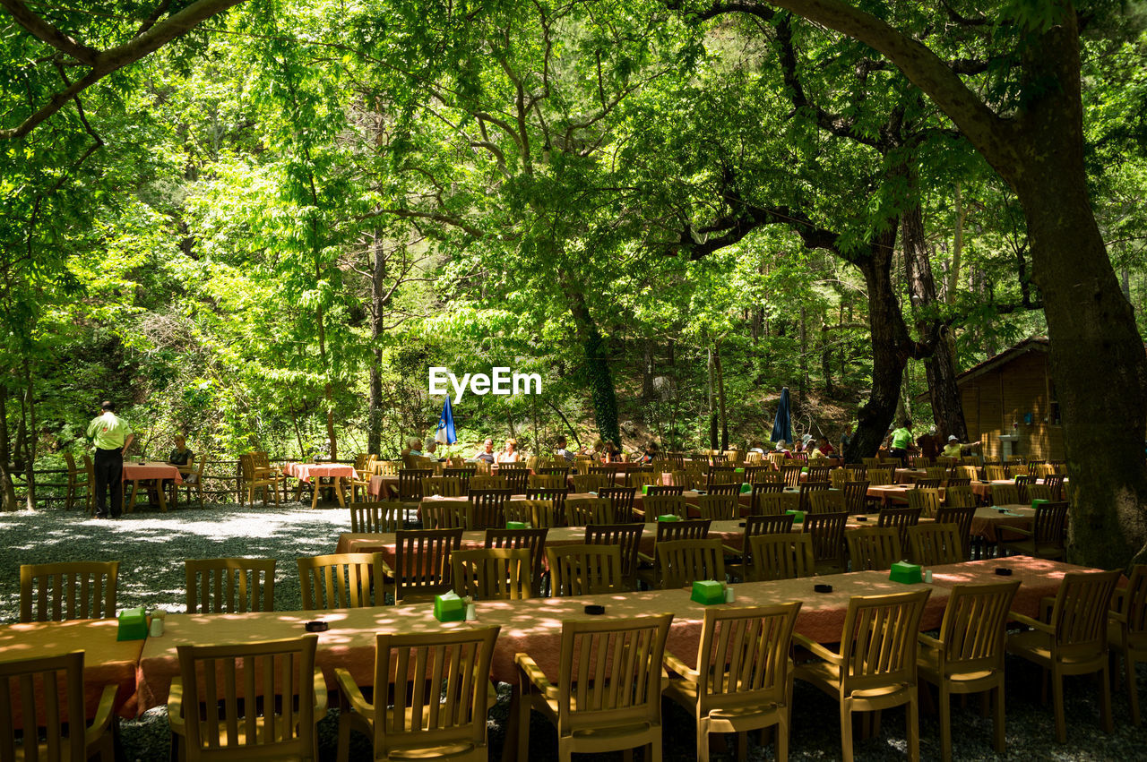 Table and chairs arranged at restaurant in green forest