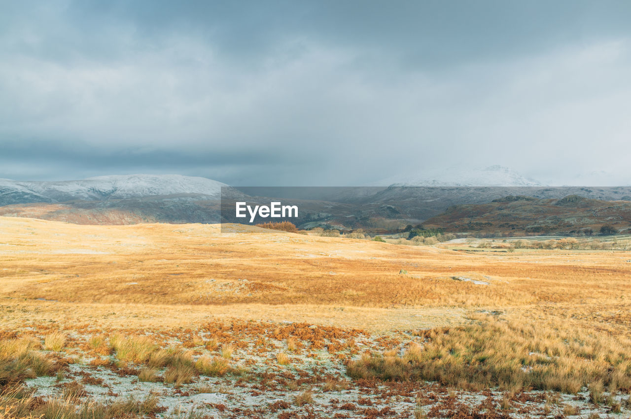 Scenic view of grassy field and mountain against cloudy sky