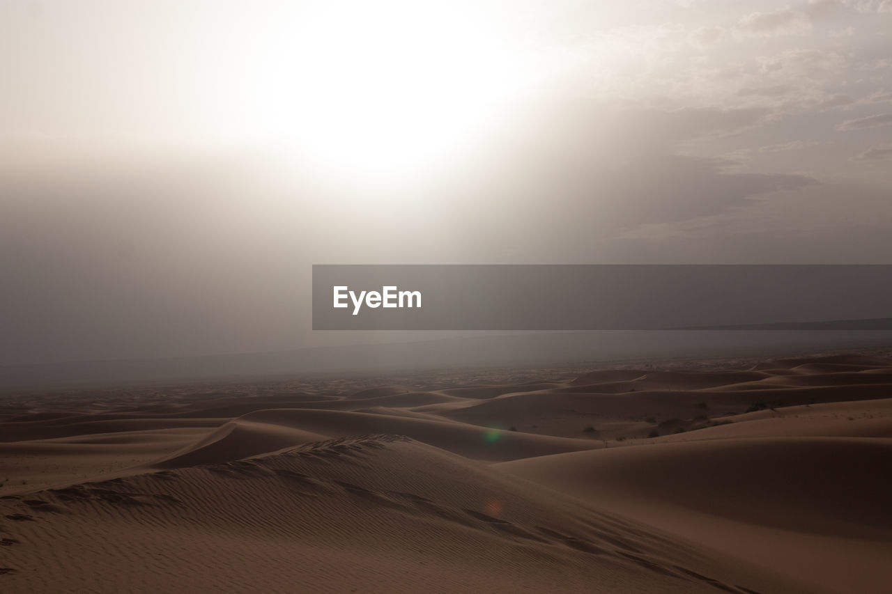 Sand dunes in a desert