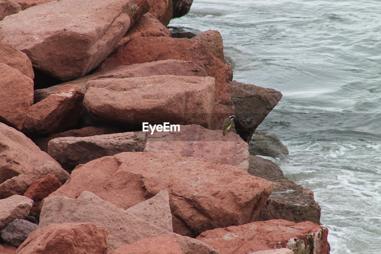 Close-up of rocks in sea