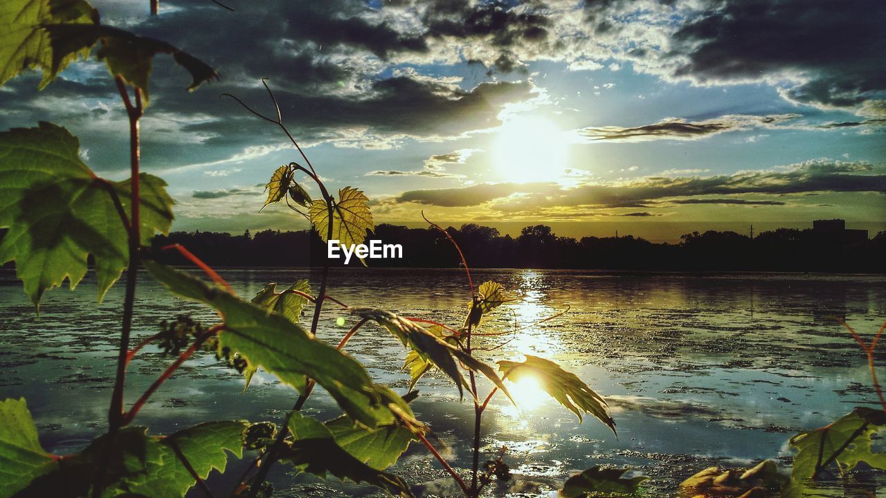 Scenic view of lake at sunset