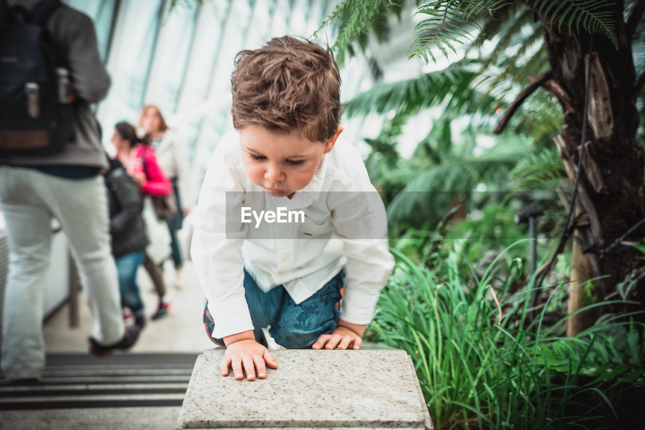Boy crawling on retaining wall by plants