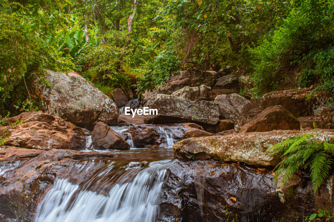 stream, waterfall, water, wilderness, nature, beauty in nature, river, plant, tree, forest, watercourse, creek, body of water, land, flowing water, scenics - nature, water feature, rock, rapid, natural environment, autumn, environment, motion, woodland, rainforest, flowing, jungle, no people, long exposure, leaf, non-urban scene, tranquility, outdoors, day, growth, landscape, green, stream bed, tranquil scene, vegetation, idyllic, travel destinations, blurred motion, state park, foliage, lush foliage, water resources