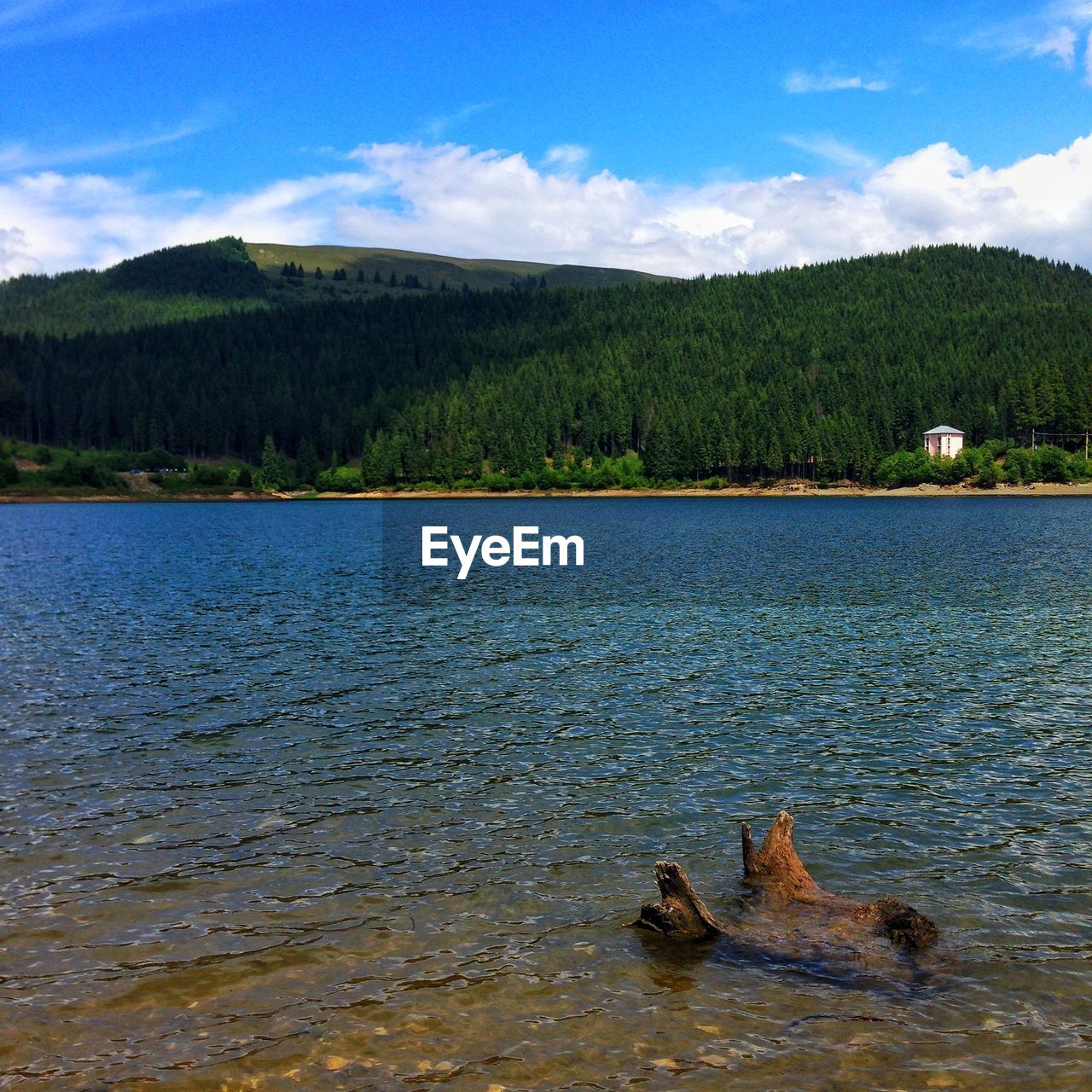 SCENIC VIEW OF FOREST BY LAKE AGAINST SKY