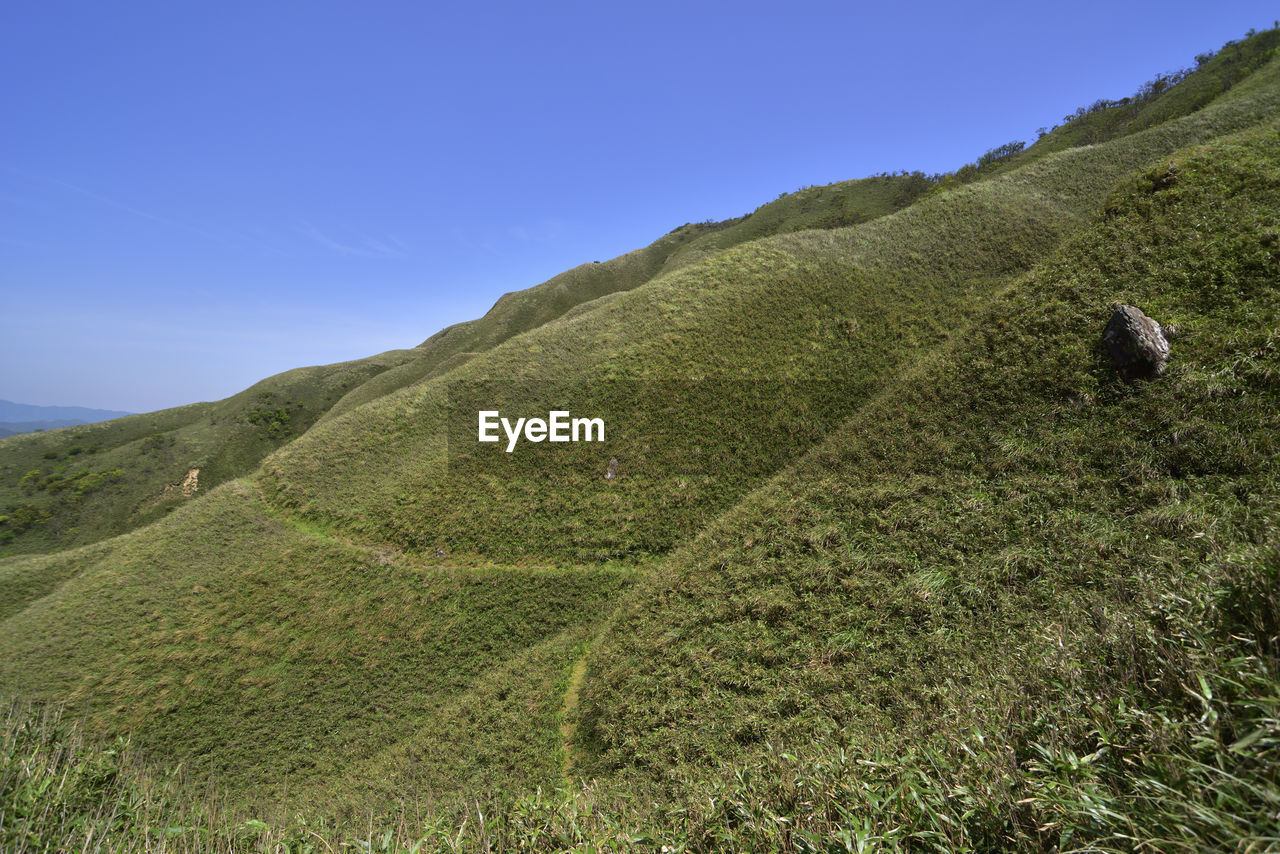 Scenic view of agricultural field against clear sky