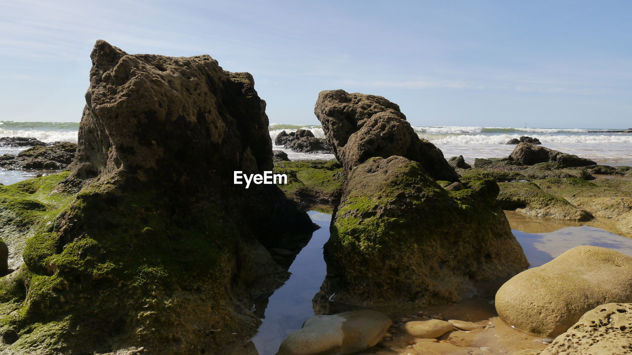 Rocky shore of algarve at low tide