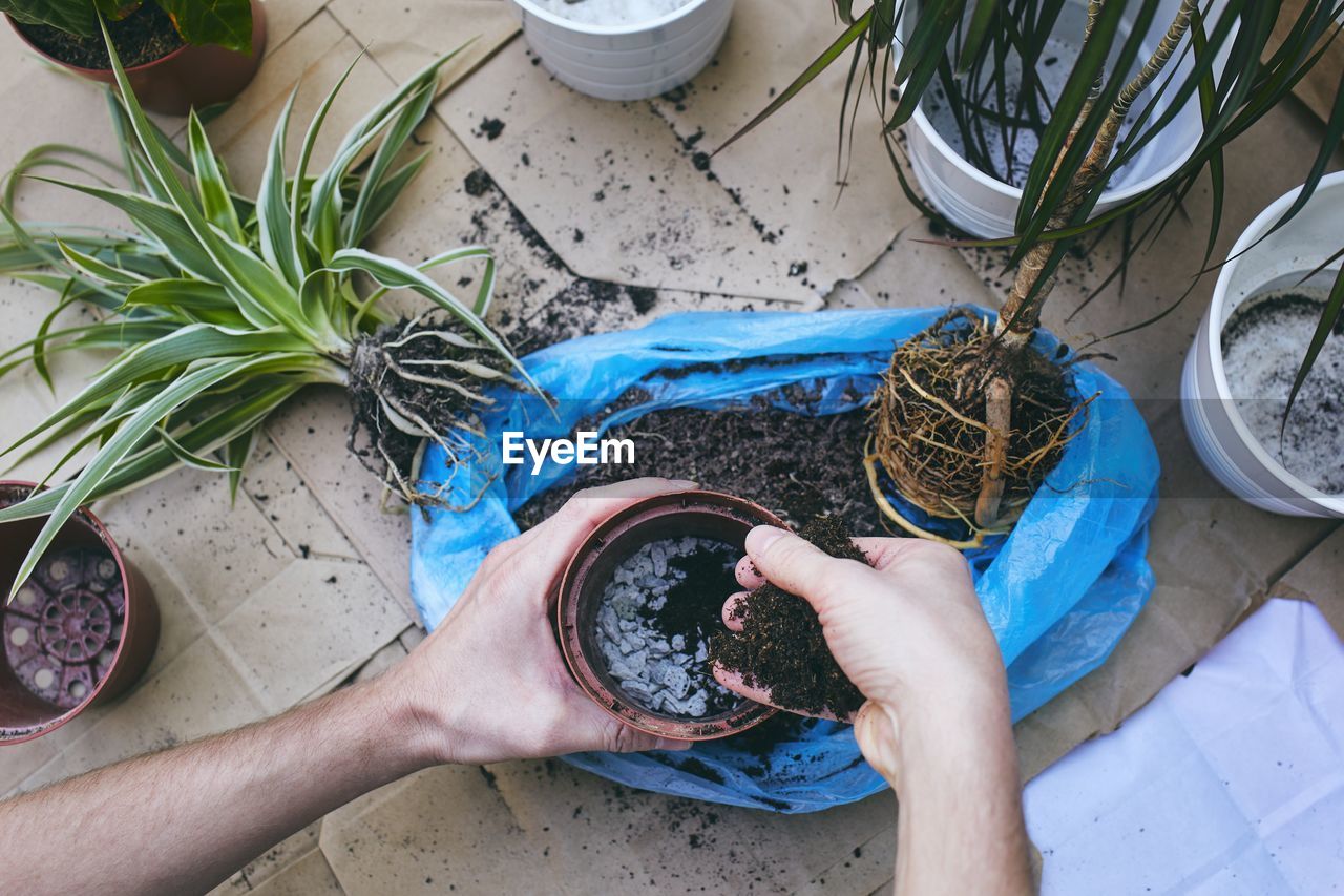 HIGH ANGLE VIEW OF HAND HOLDING POTTED PLANTS