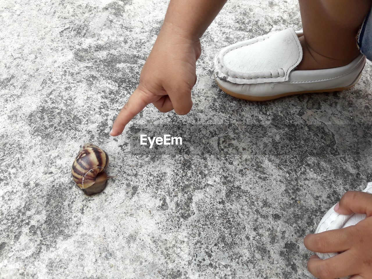 Low section of child pointing at snail on land