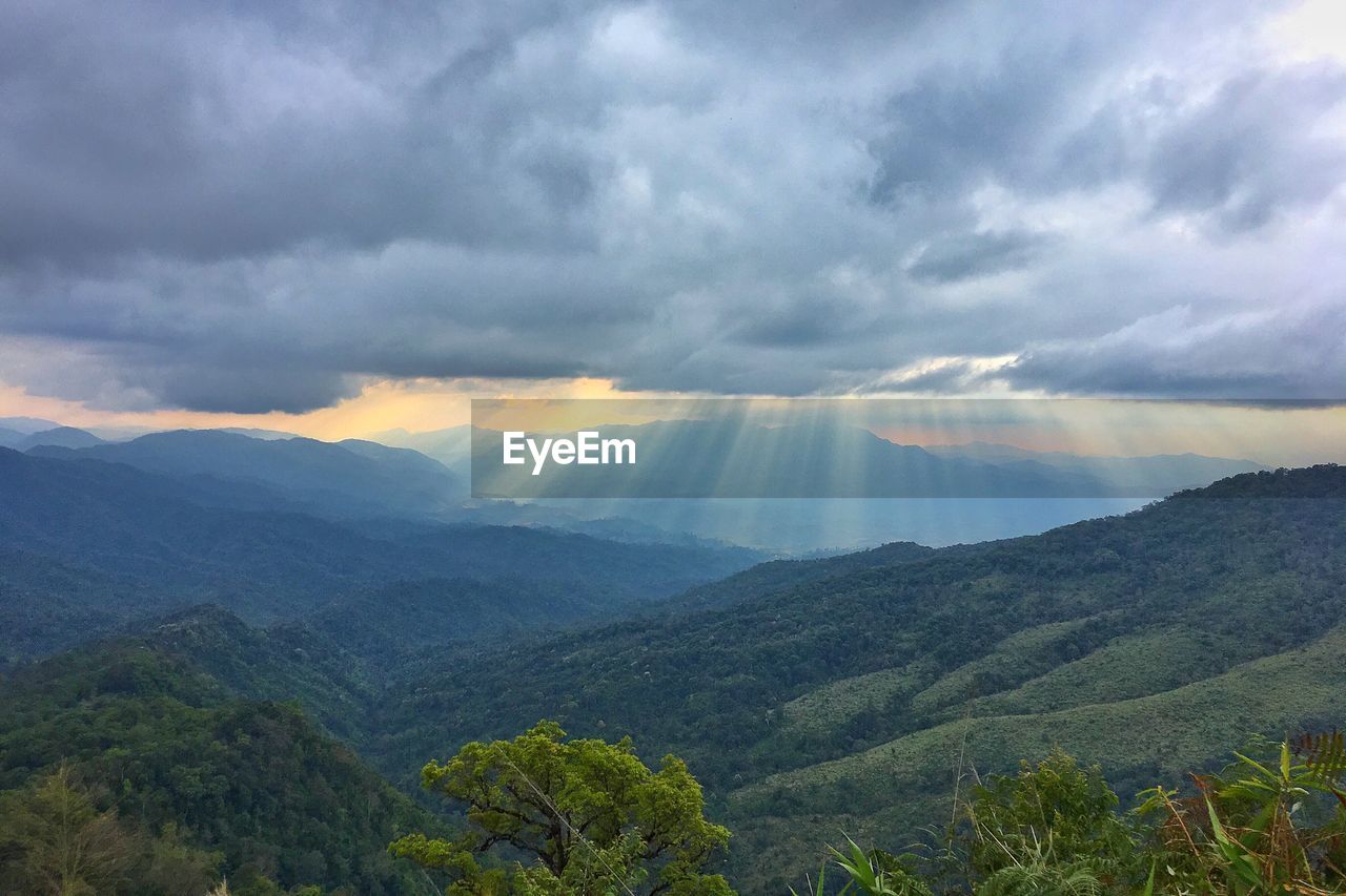 SCENIC VIEW OF TREE MOUNTAINS AGAINST SKY