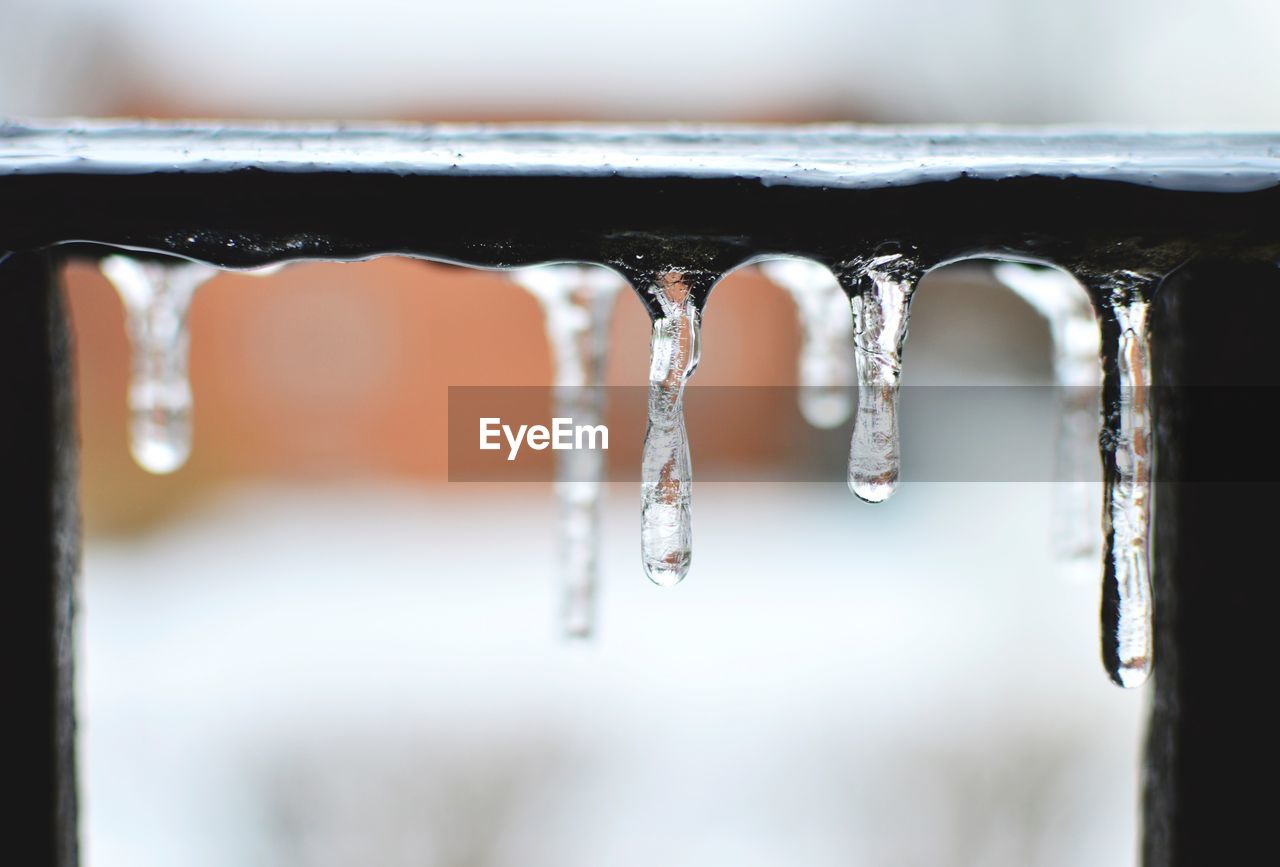 CLOSE-UP OF ICICLES