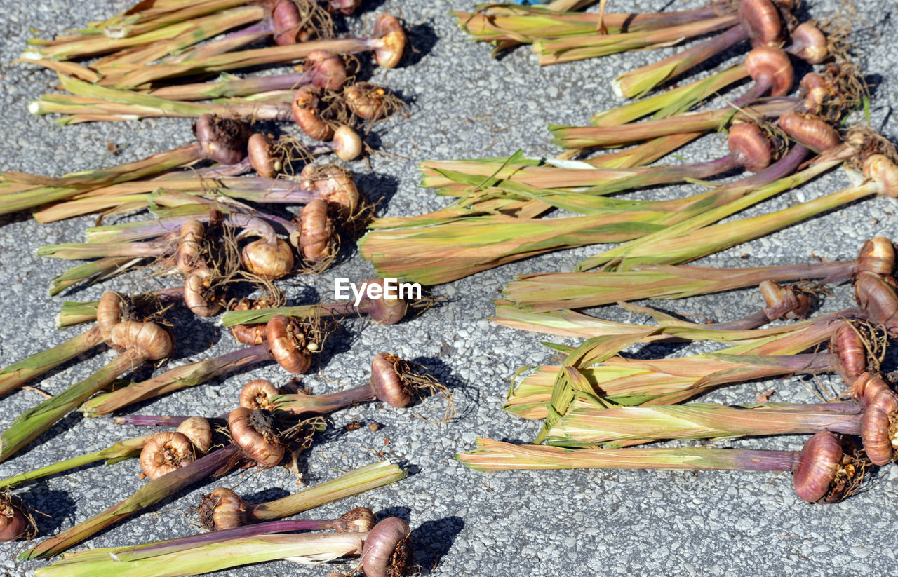 HIGH ANGLE VIEW OF VEGETABLES ON BARBECUE