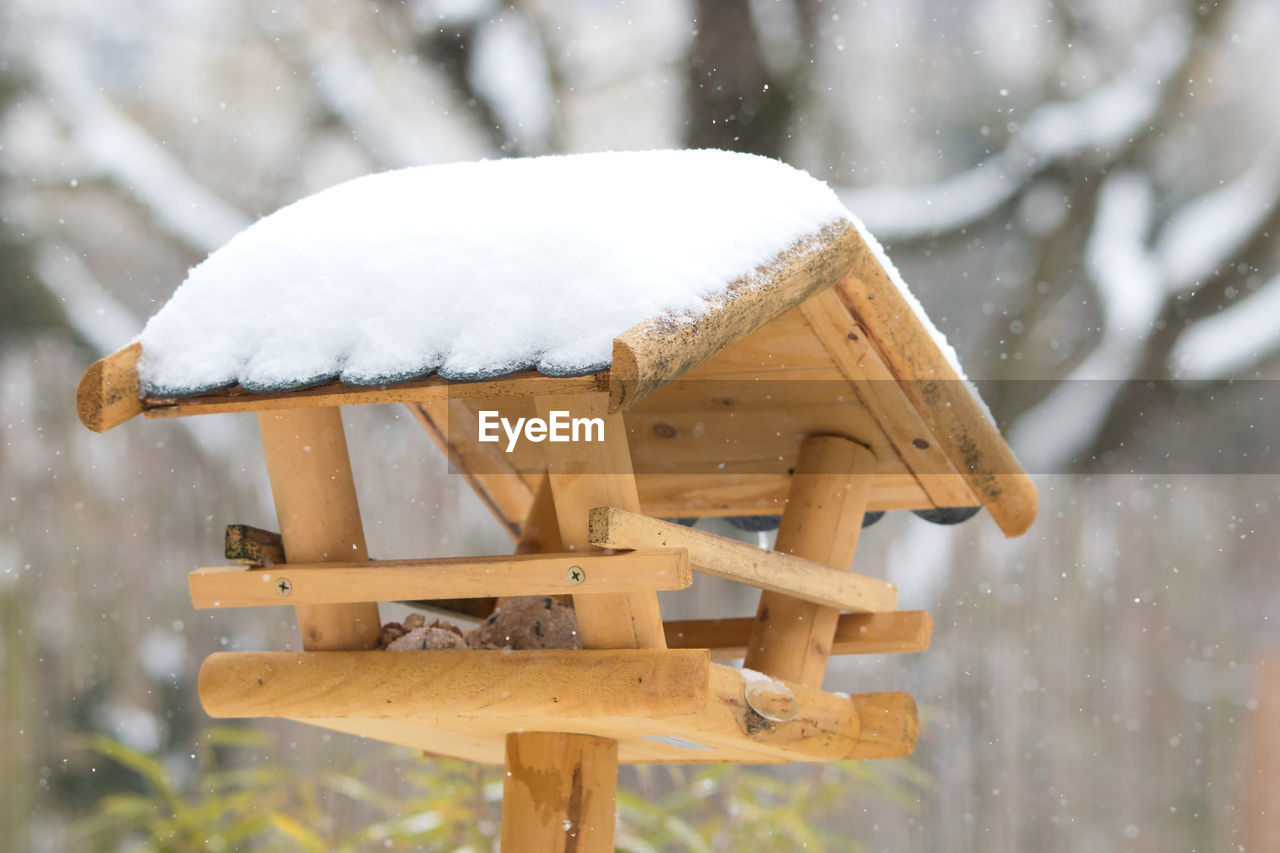 CLOSE-UP OF BIRDHOUSE ON TREE IN SNOW