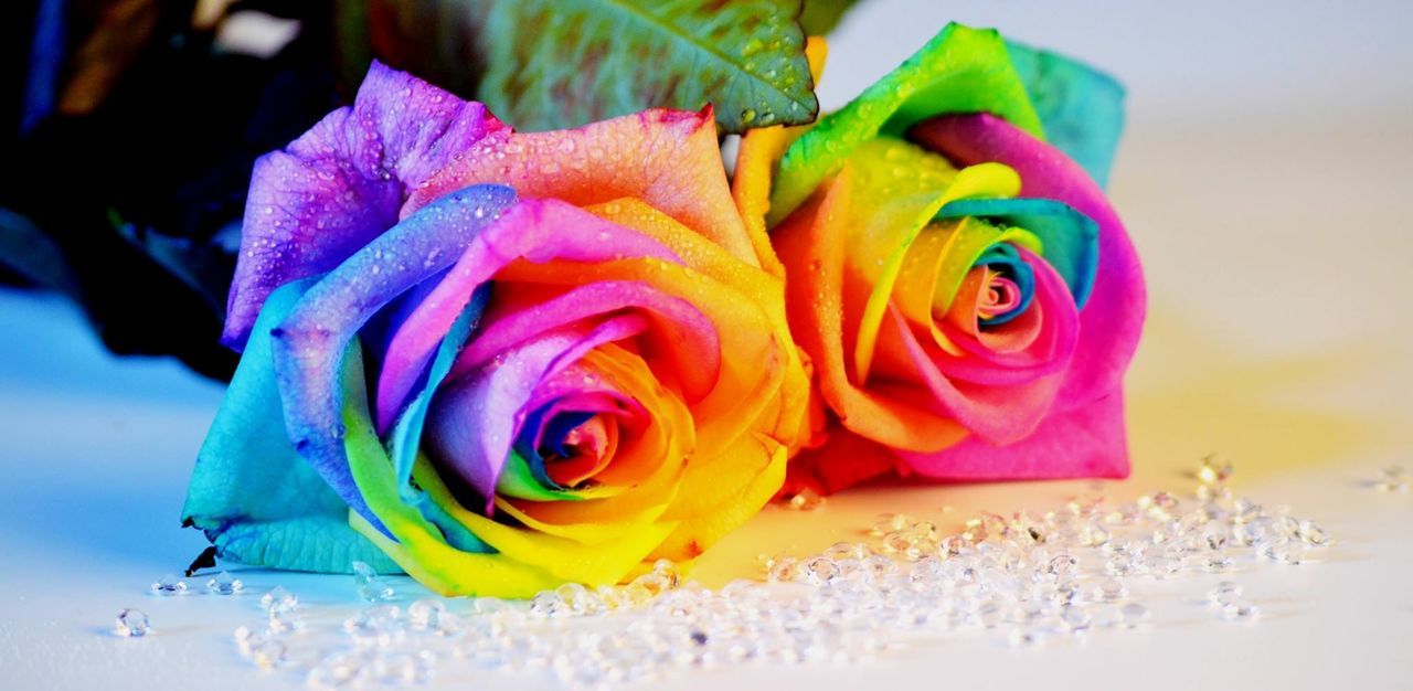 Close-up of colorful artificial roses fallen on floor