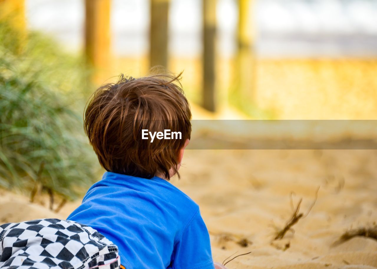 Rear view of boy on sand