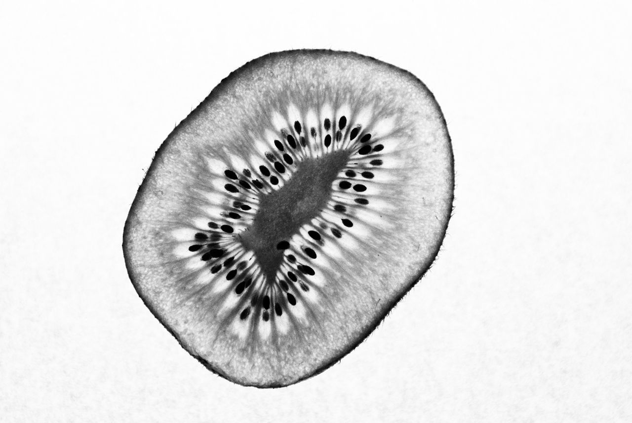 Directly above cross section of kiwi over white background