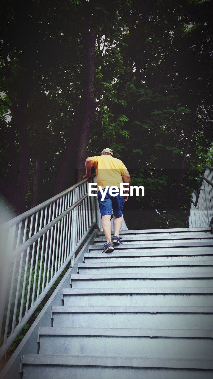 Low angle view of man moving up on steps against trees