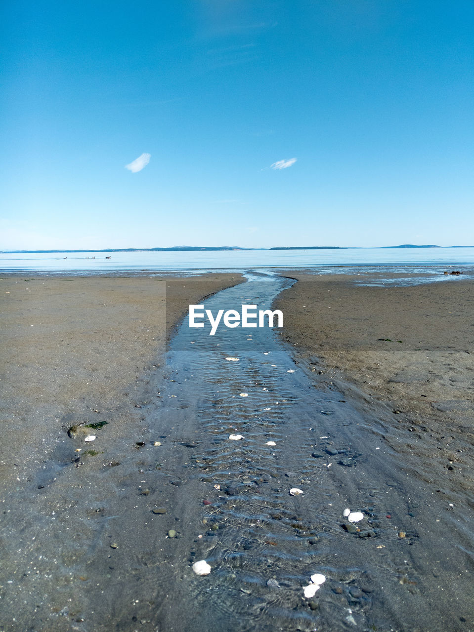 Scenic view of beach against blue sky