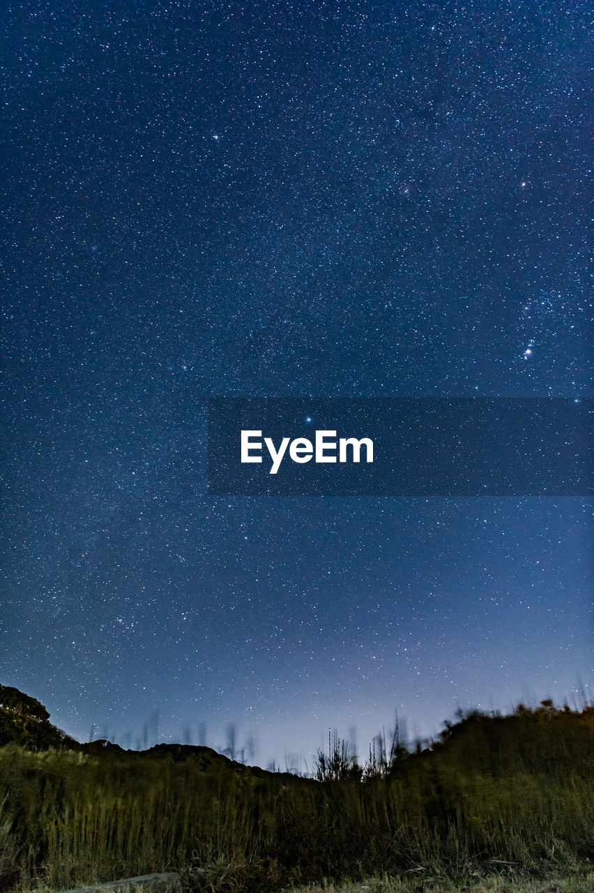 Scenic view of star field against sky at night