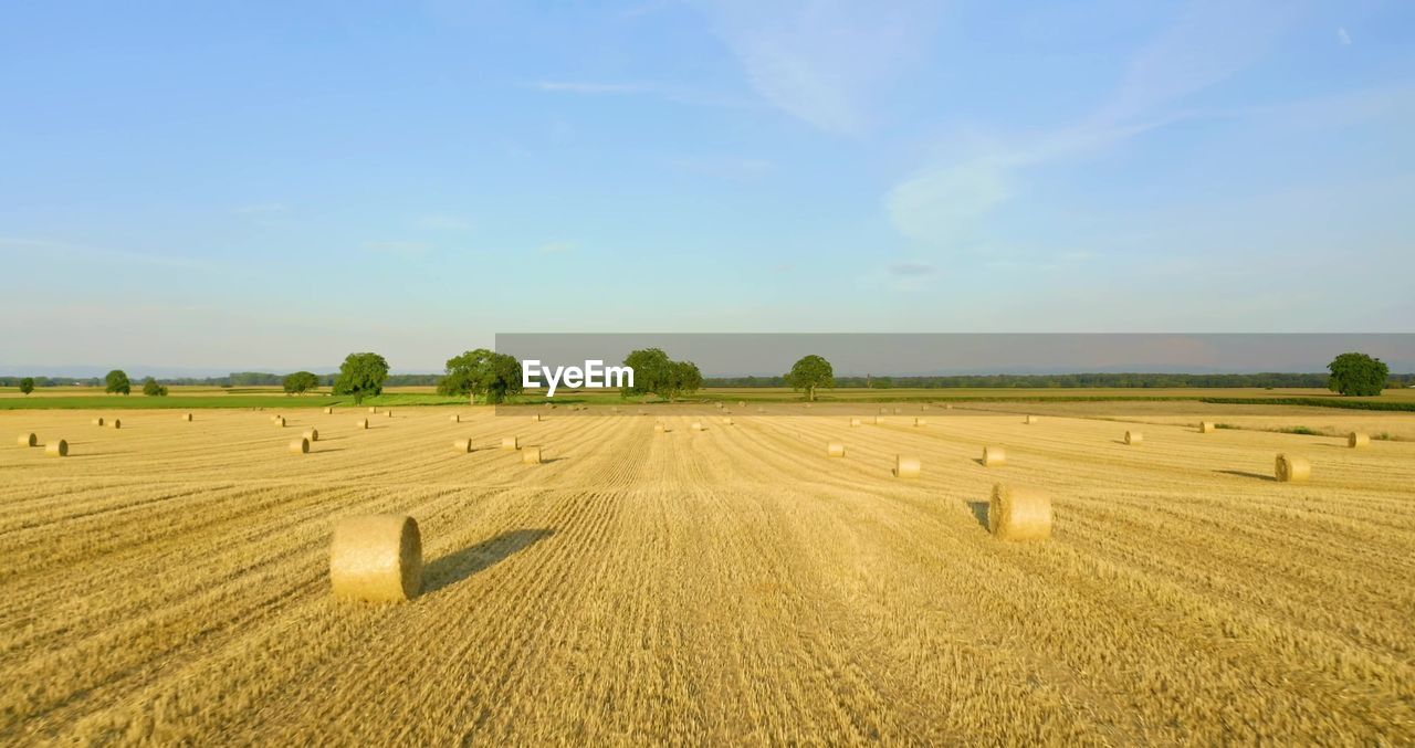SCENIC VIEW OF HAY BALES ON FIELD AGAINST SKY