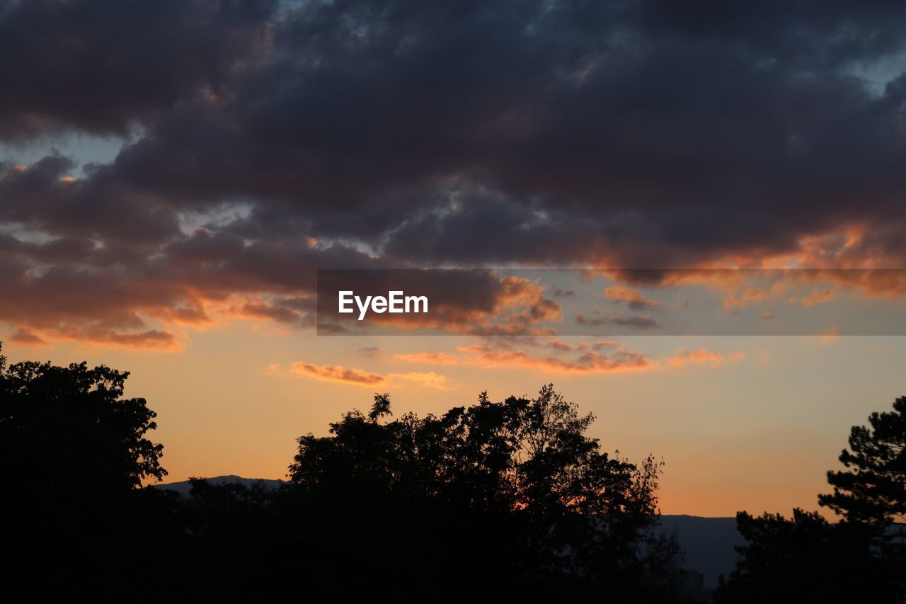 LOW ANGLE VIEW OF SILHOUETTE TREES AGAINST DRAMATIC SKY DURING SUNSET