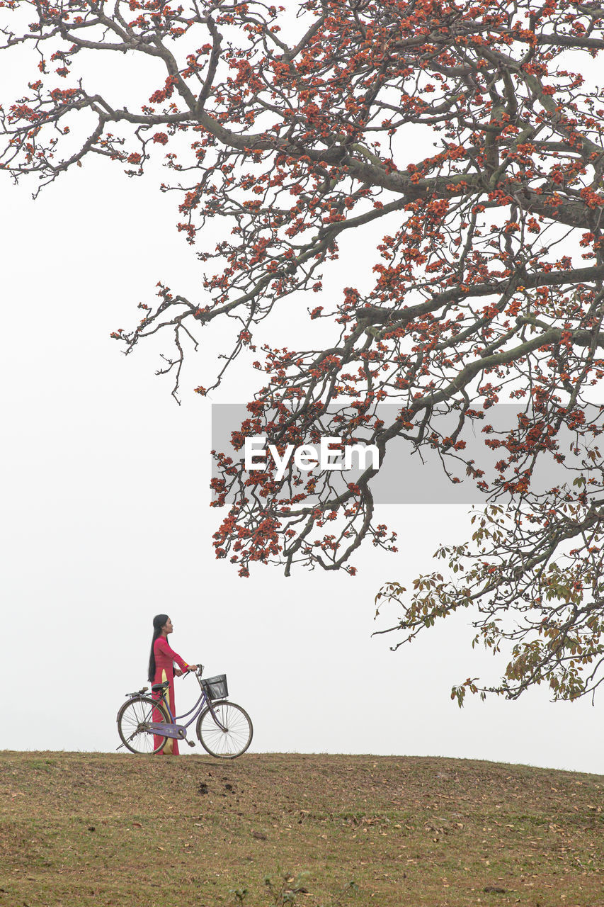 bicycle, plant, tree, transportation, nature, cycling, one person, sky, mode of transportation, sports, riding, activity, leisure activity, flower, beauty in nature, land vehicle, landscape, adult, environment, lifestyles, land, men, day, travel, full length, outdoors, motion, vehicle, grass, branch, bicycle wheel, on the move, field, tranquility, rural scene, scenics - nature, clear sky, side view