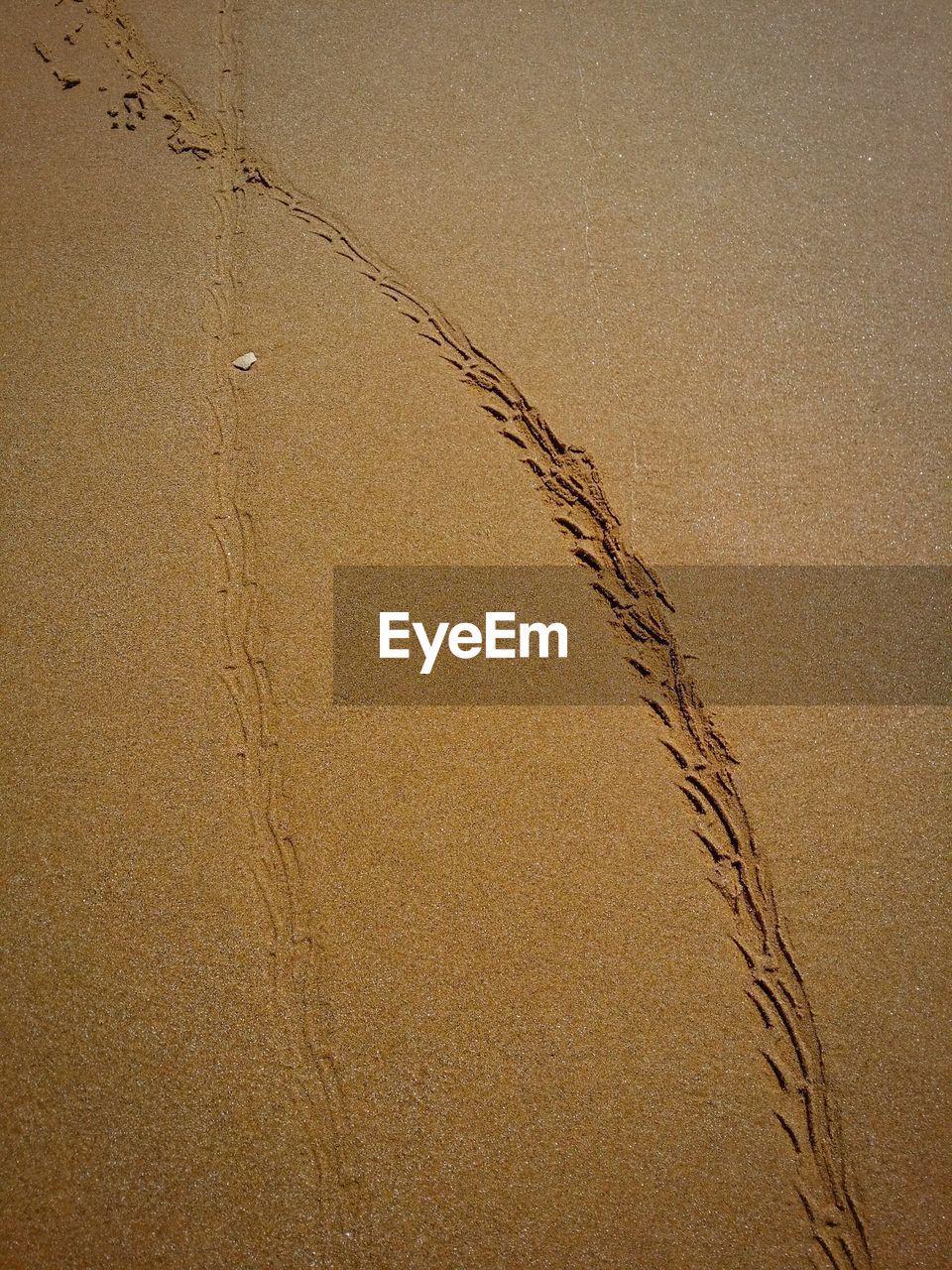 High angle view of tire track on sand