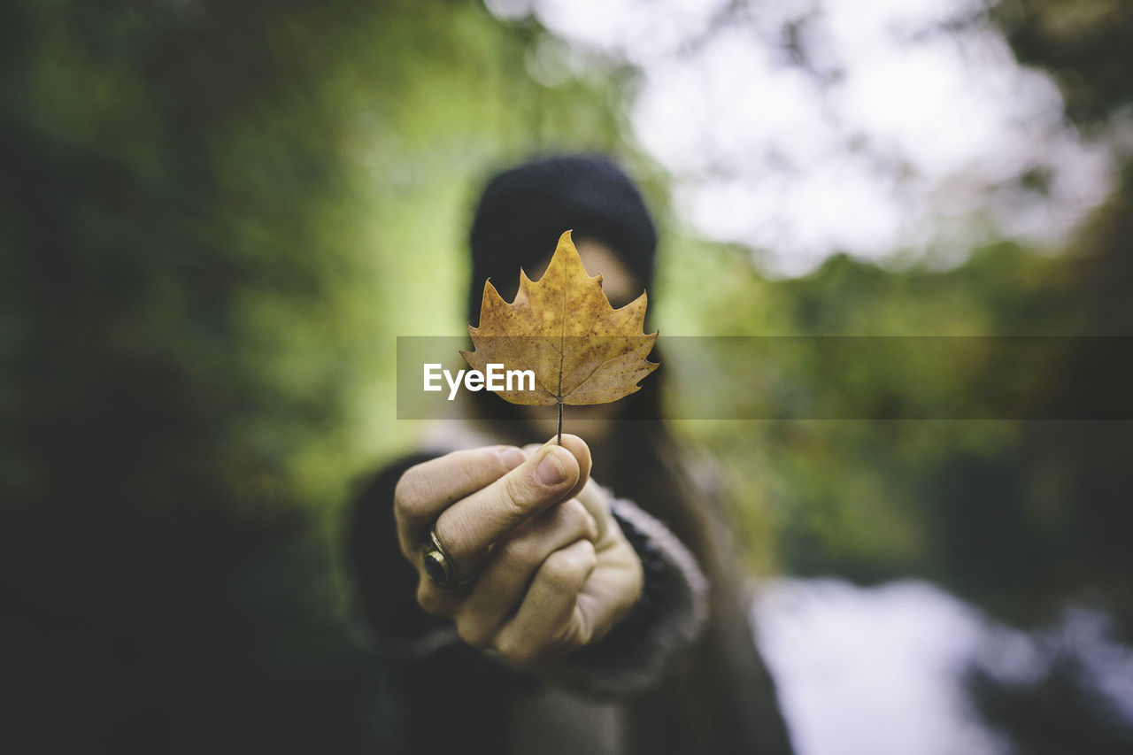 Close-up of woman holding maple leaf