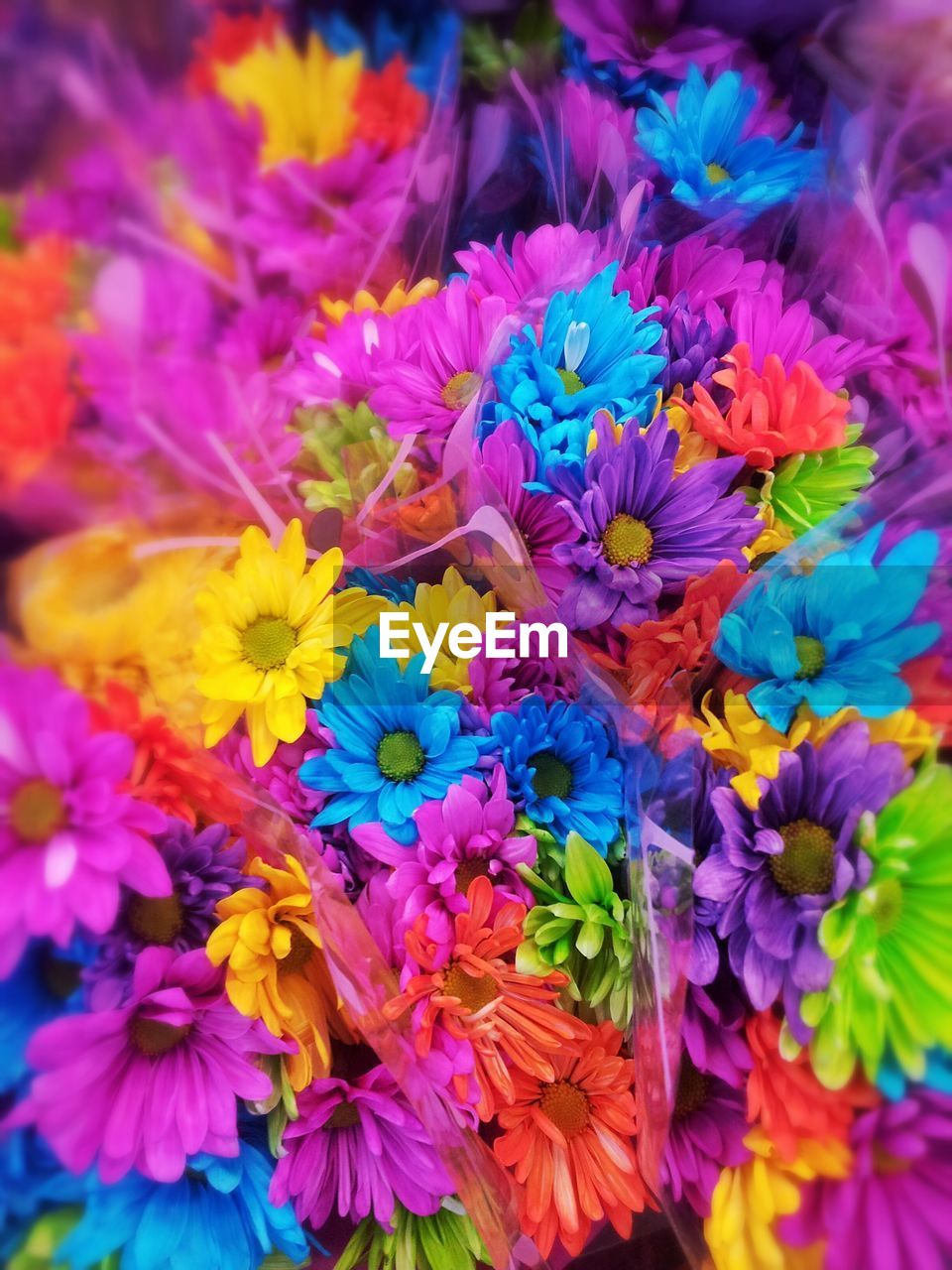 FULL FRAME SHOT OF PURPLE FLOWERS BLOOMING