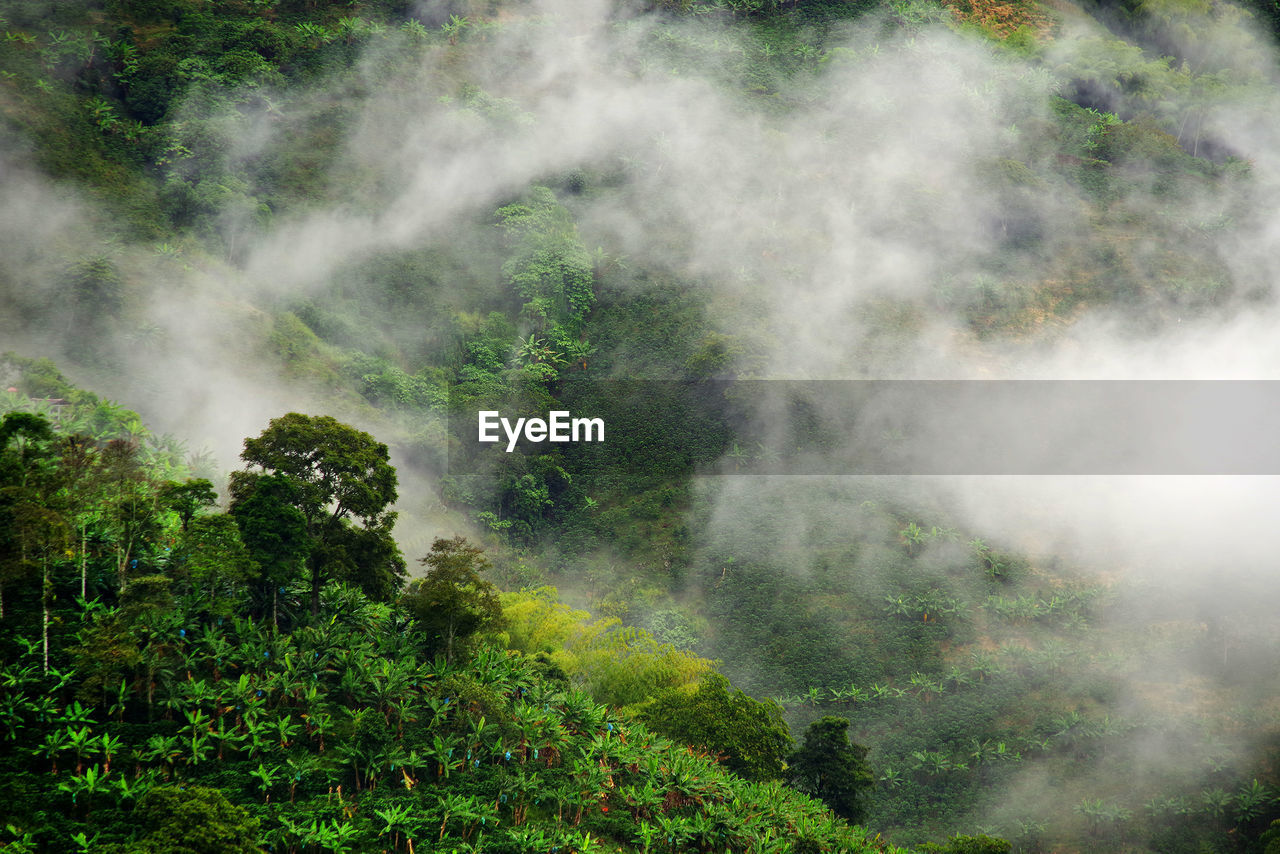 SCENIC VIEW OF WATERFALL