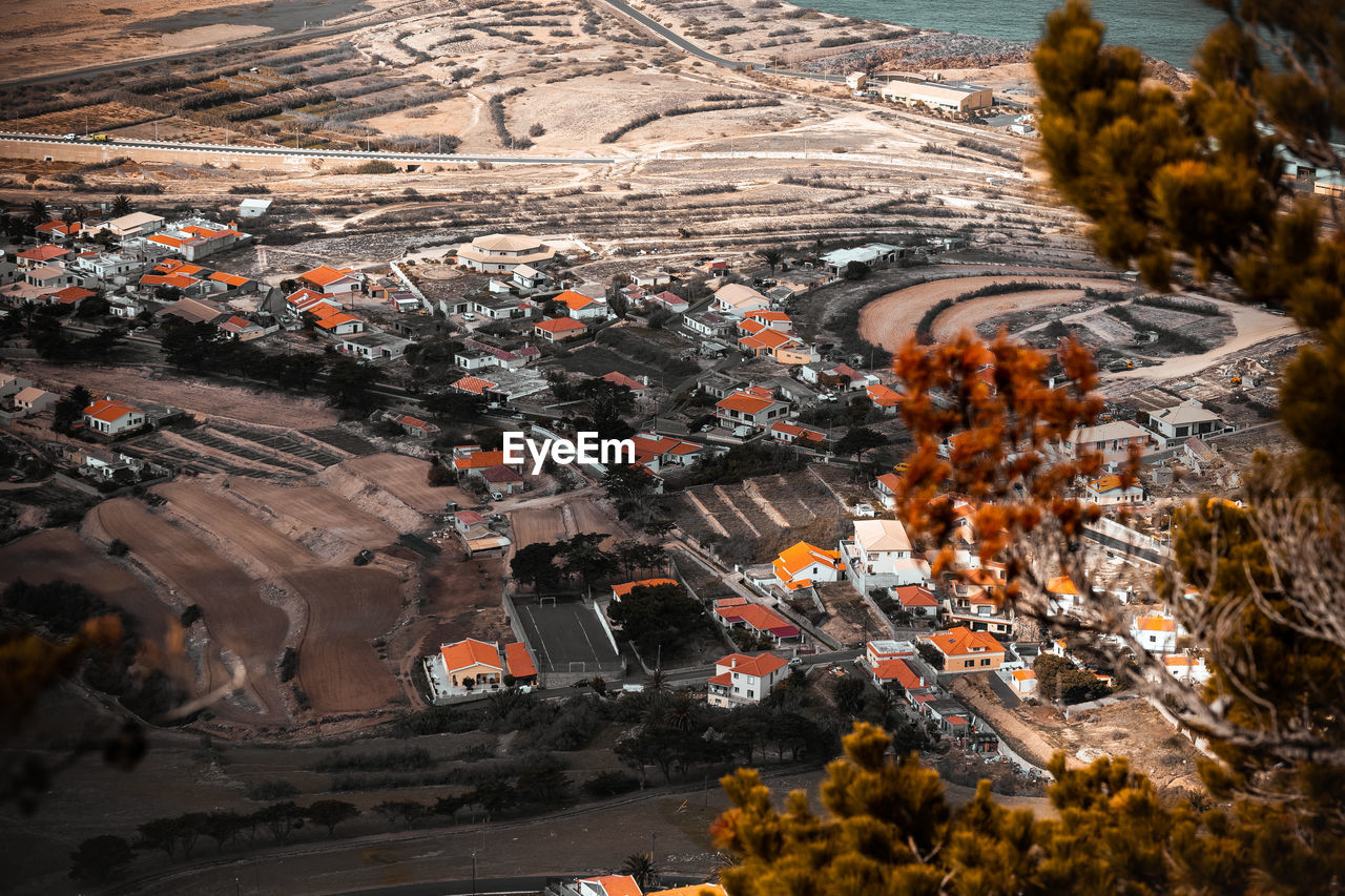 High angle view of trees and buildings in city