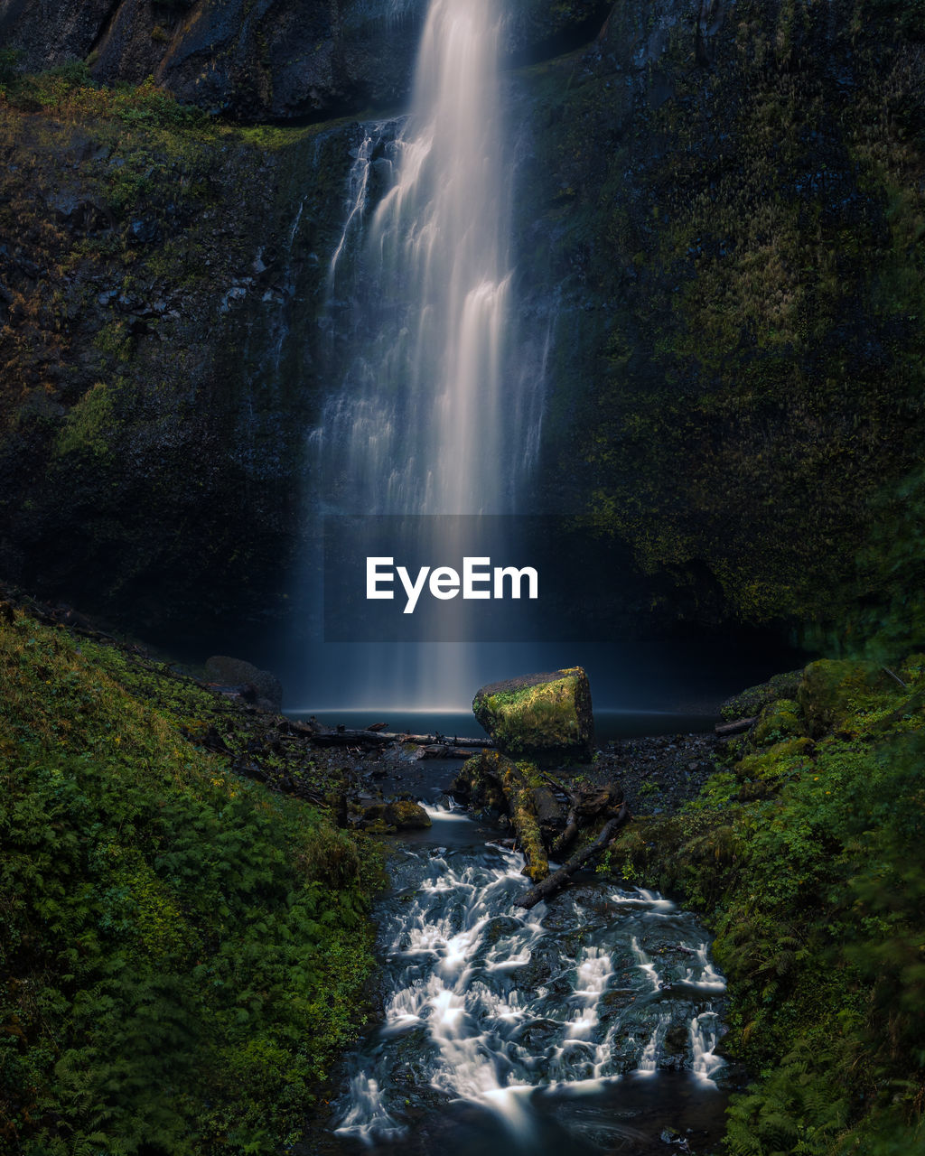 Scenic view of waterfall in forest