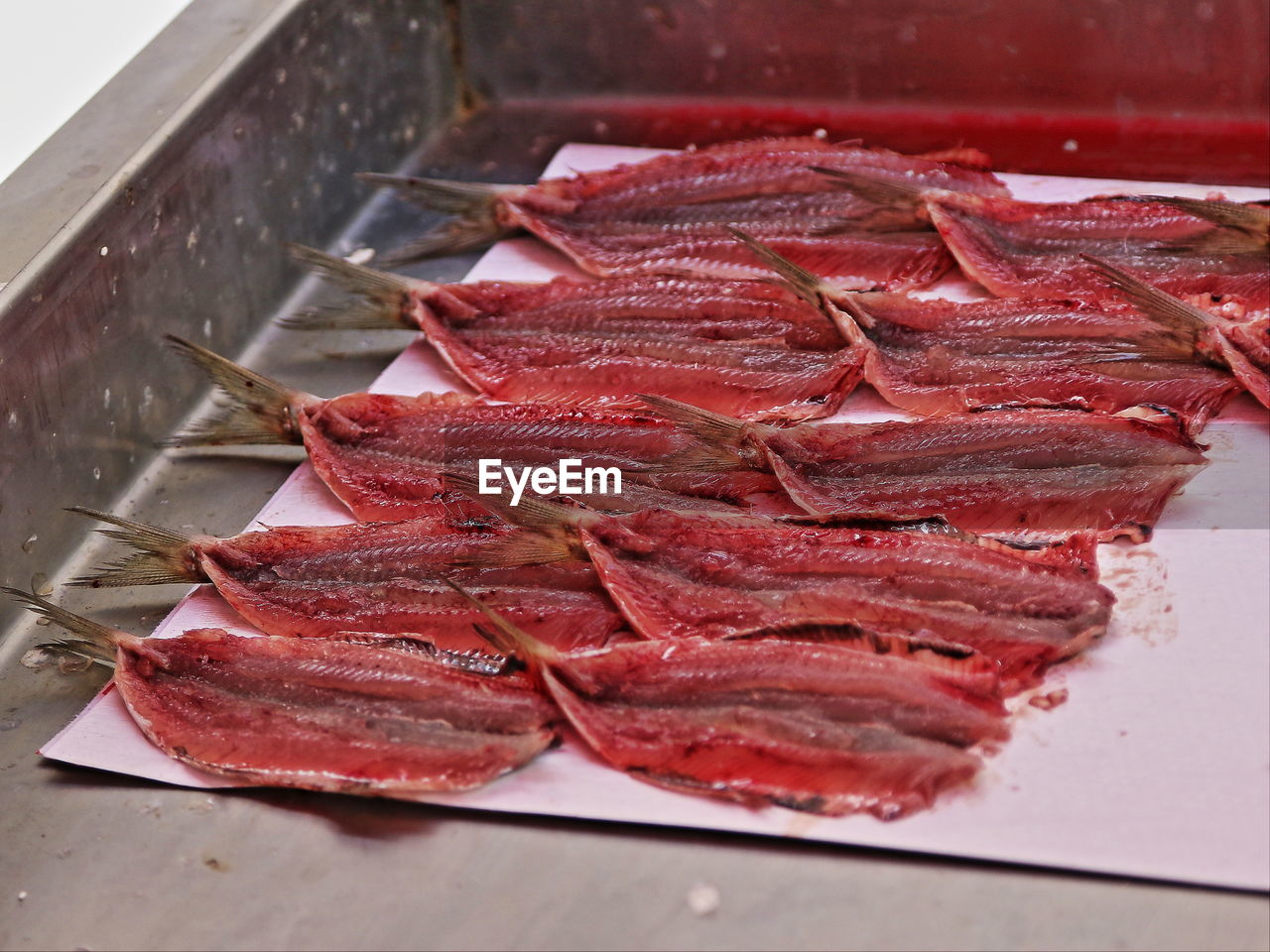 Close-up of anchovies in row