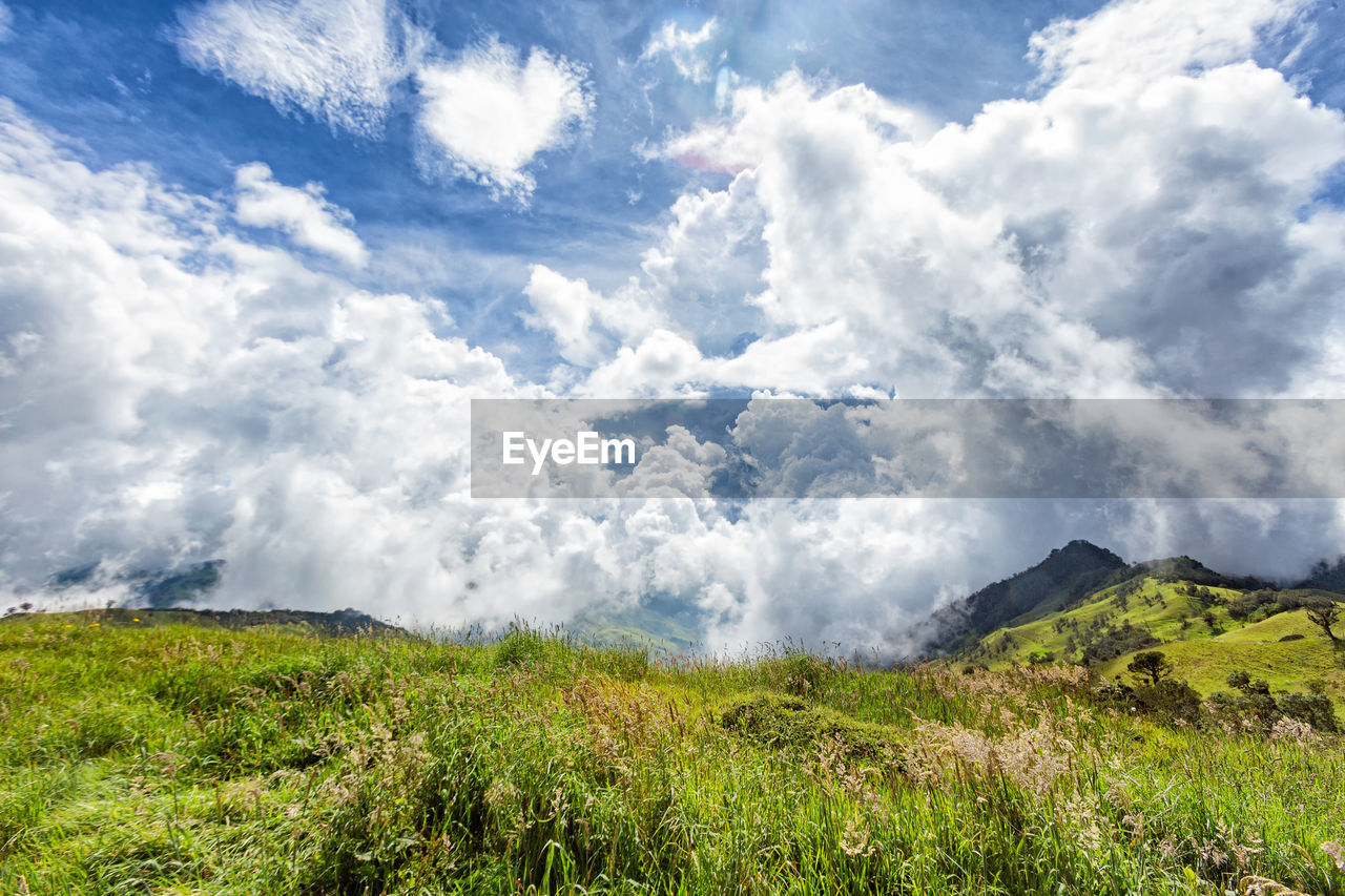 SCENIC VIEW OF GREEN LANDSCAPE AGAINST SKY