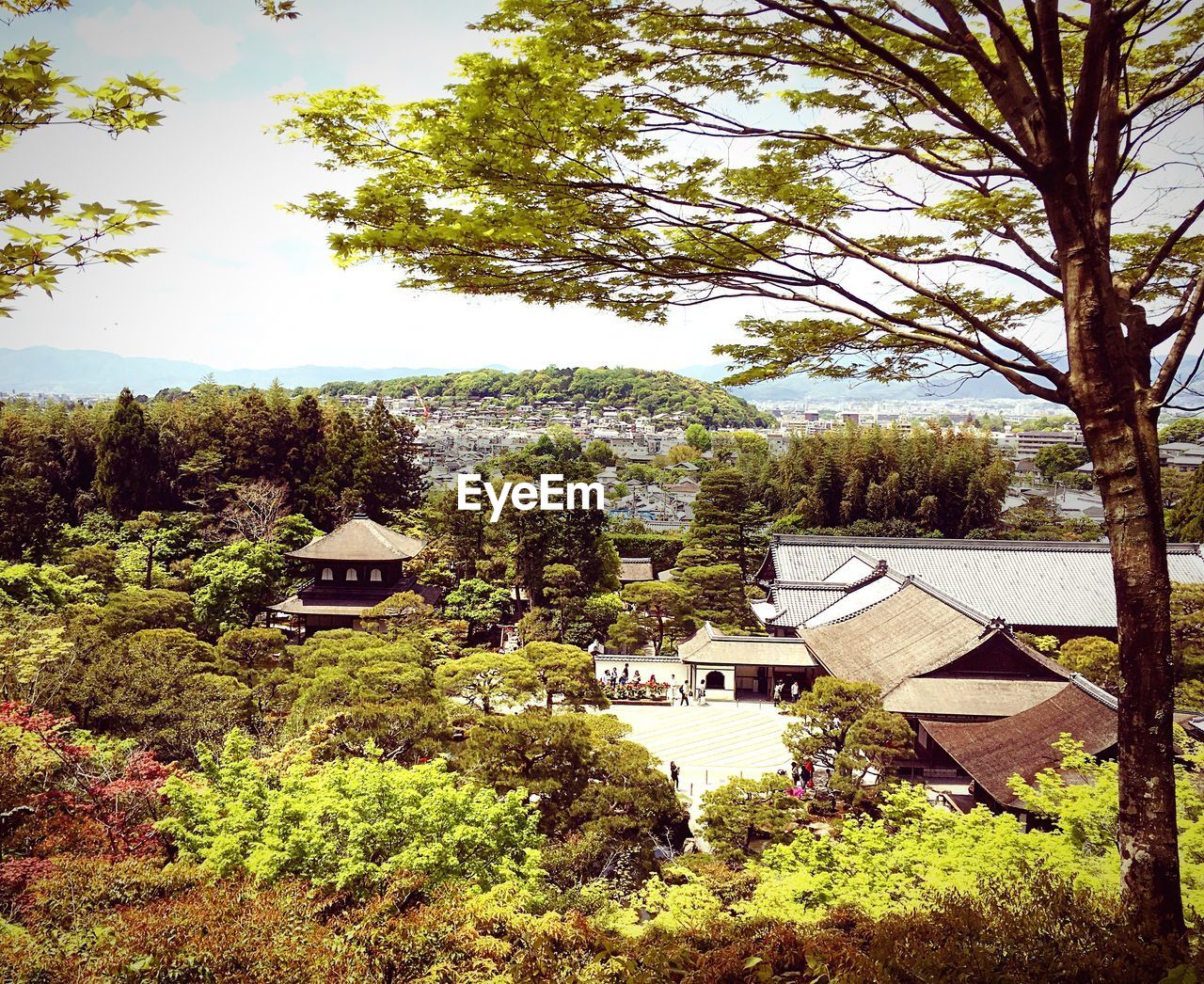 HOUSES BY TREES AGAINST SKY