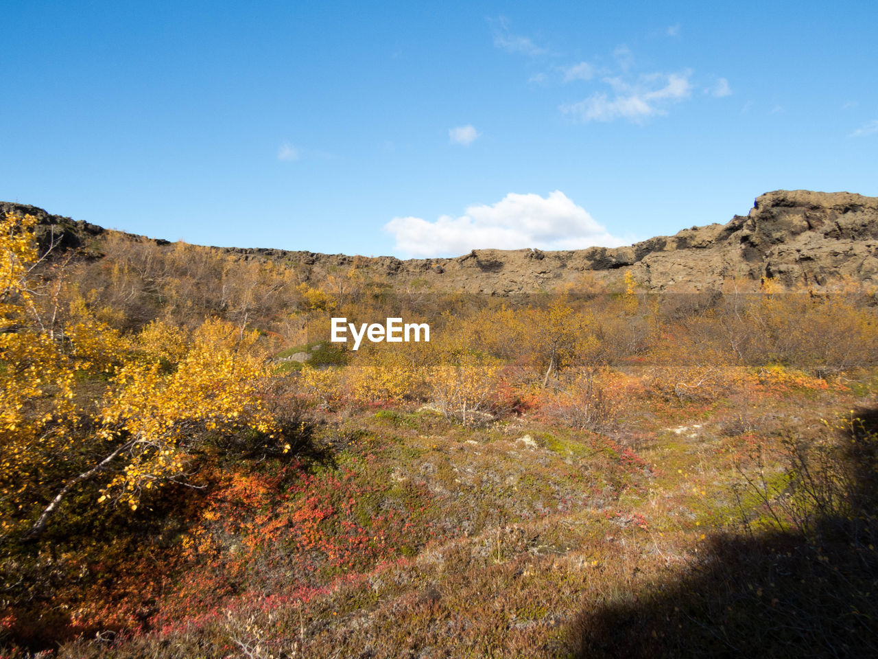 SCENIC VIEW OF MOUNTAIN AGAINST SKY